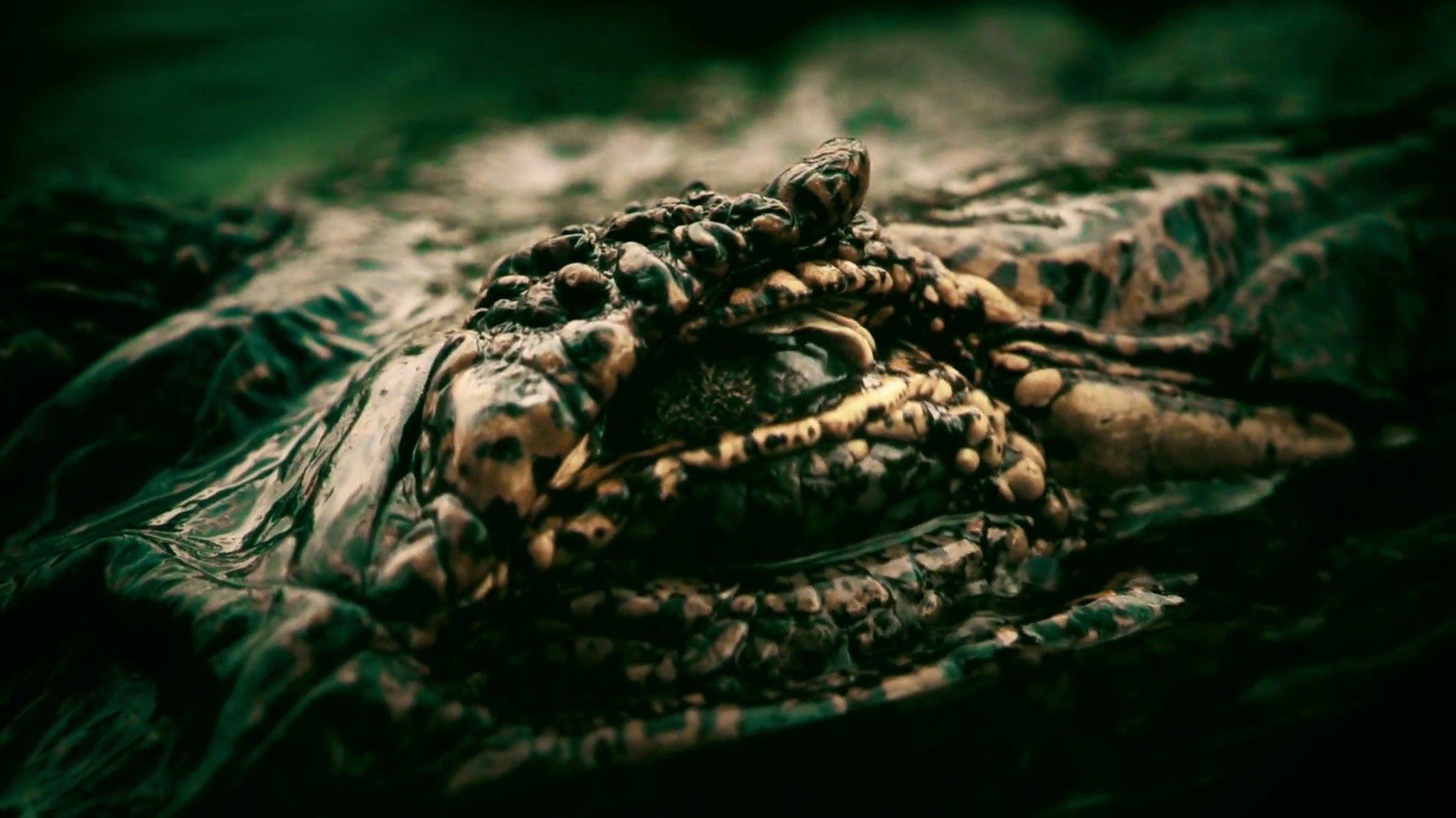 Expedition Mungo background