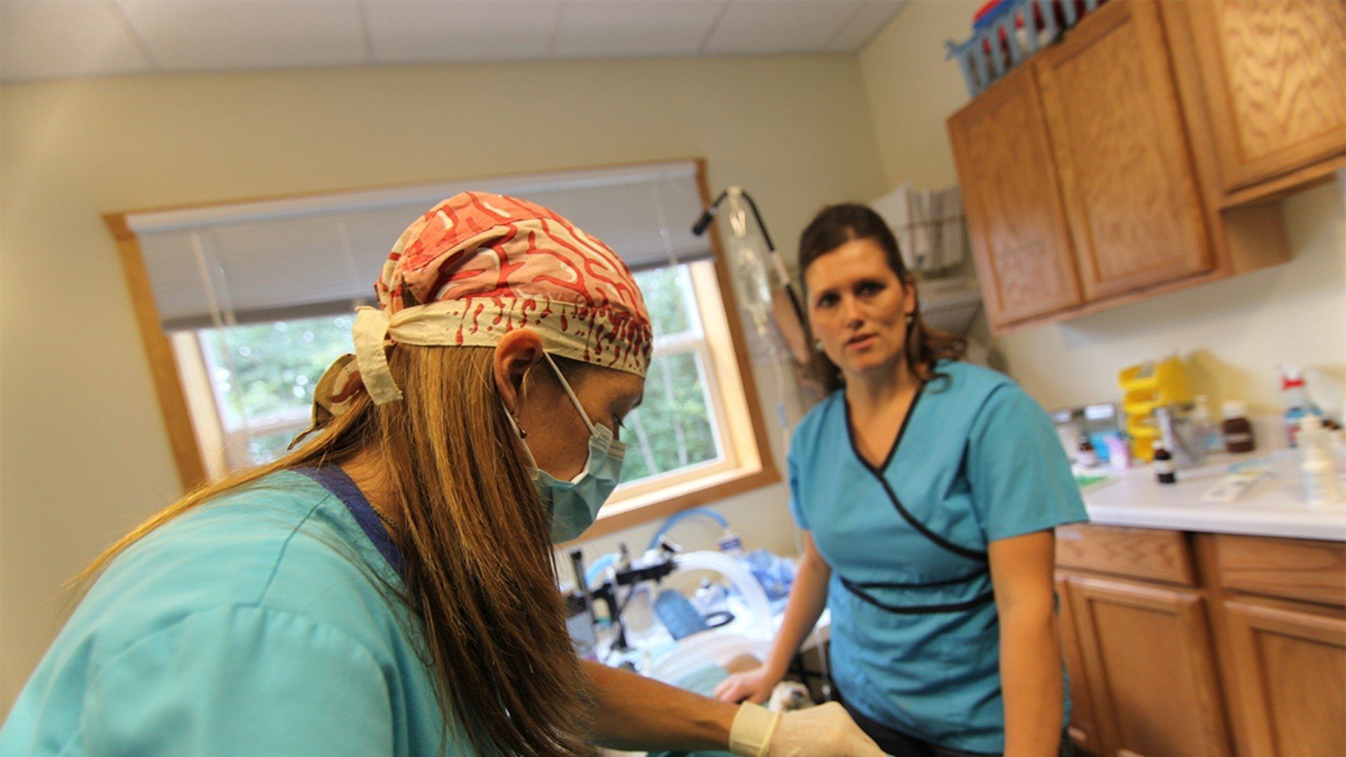 Dr. Oakley, Yukon Vet background