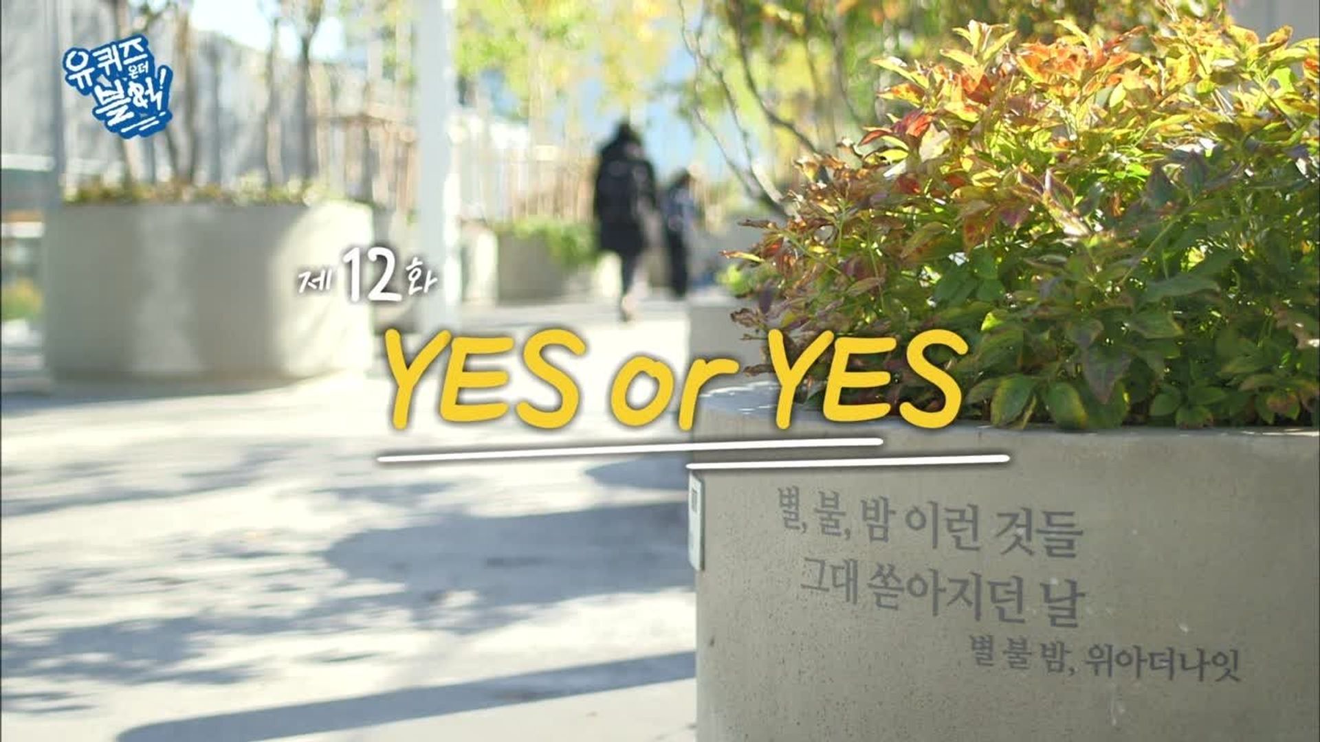 You Quiz on the Block background