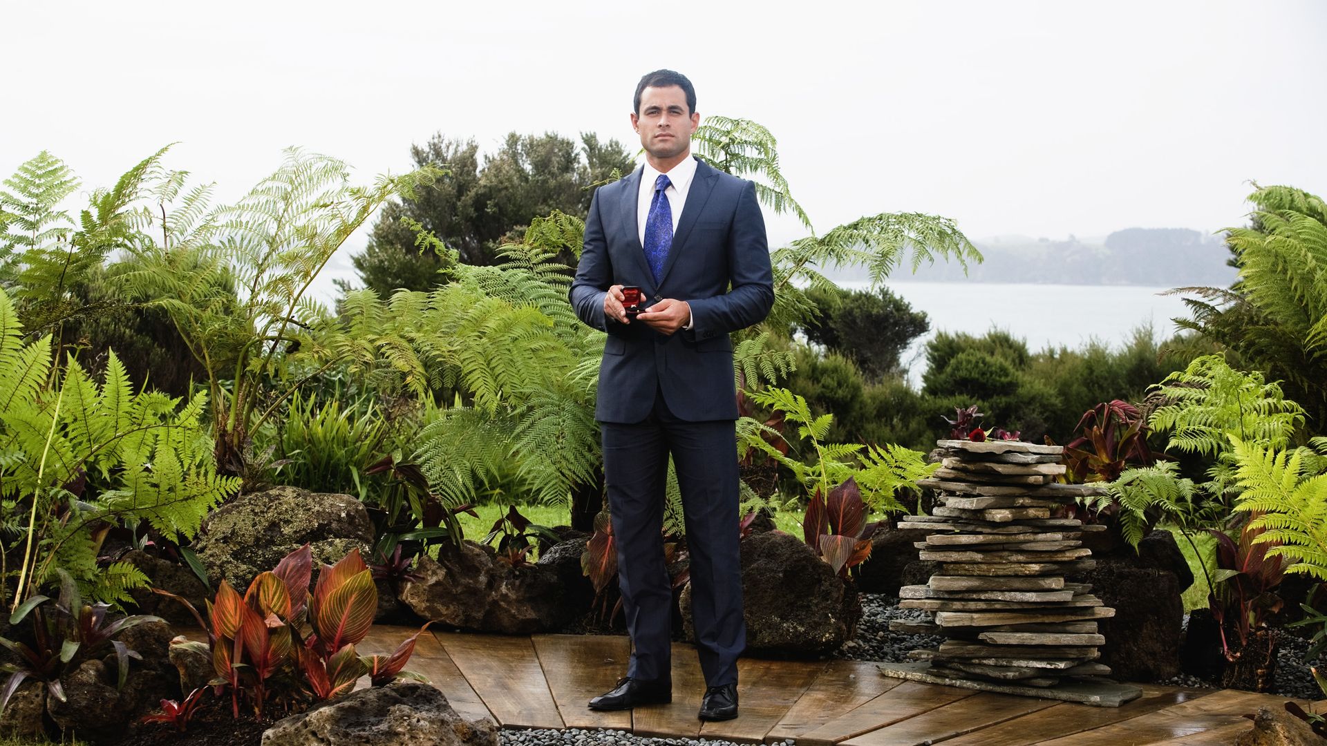 The Bachelor: The Greatest Seasons - Ever! background