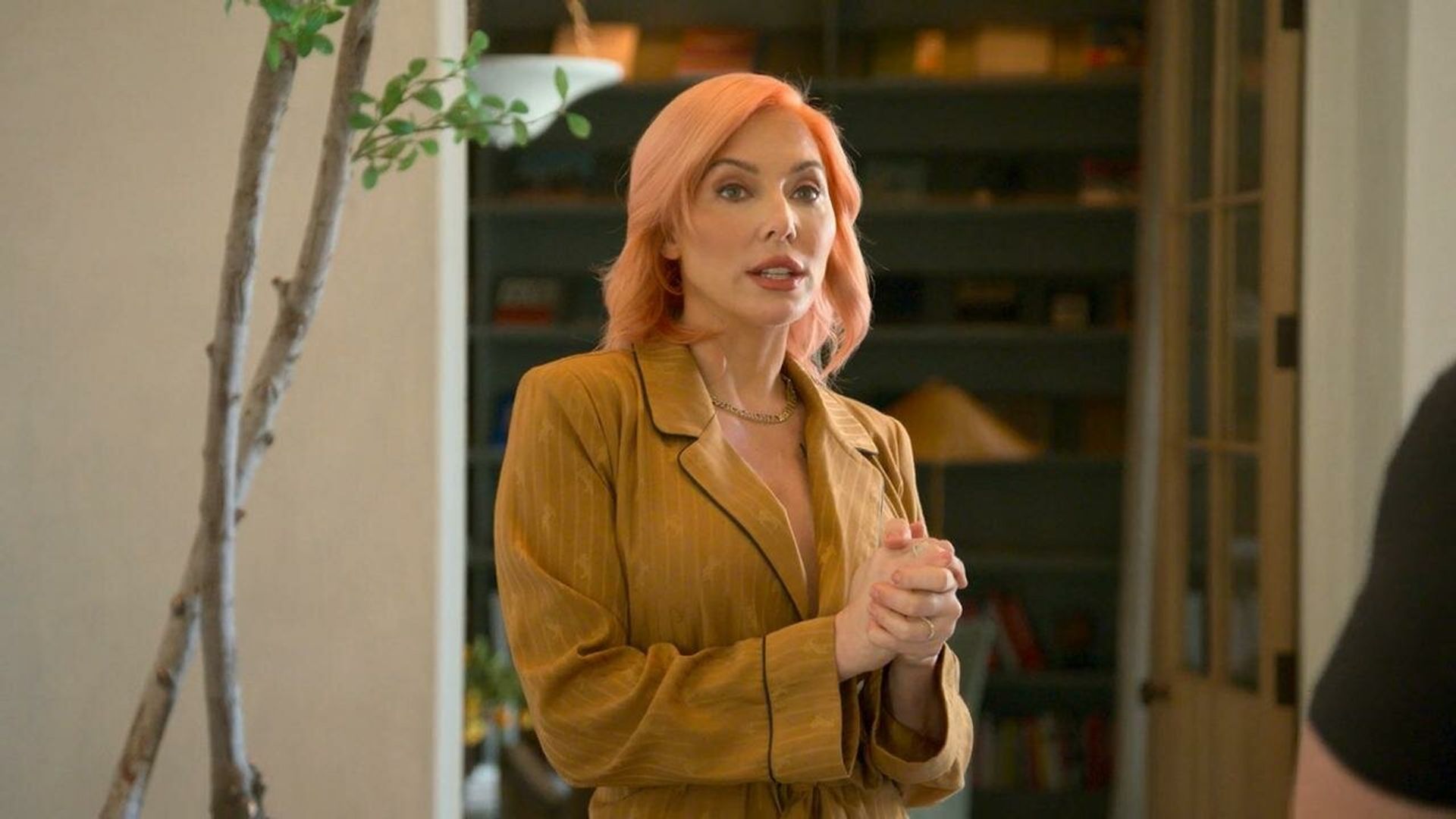 Buying Beverly Hills background