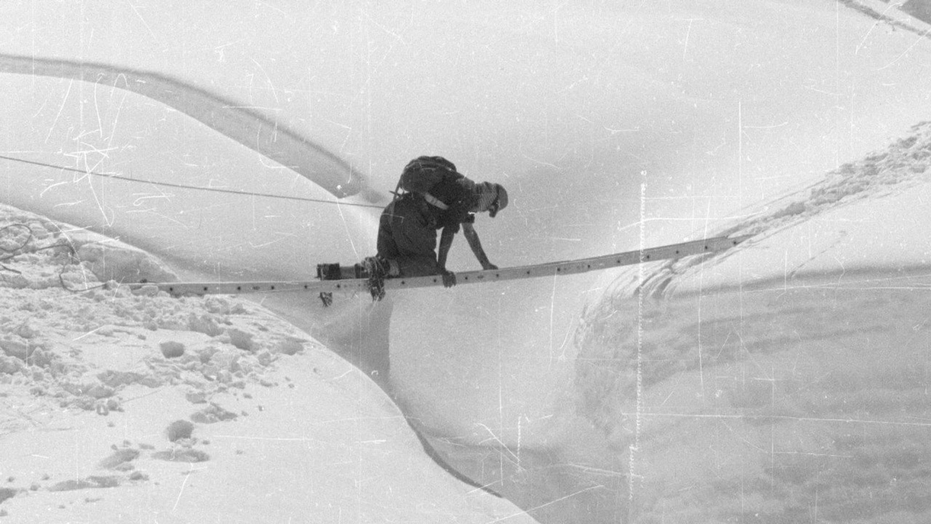 Secret Nazi Expeditions background