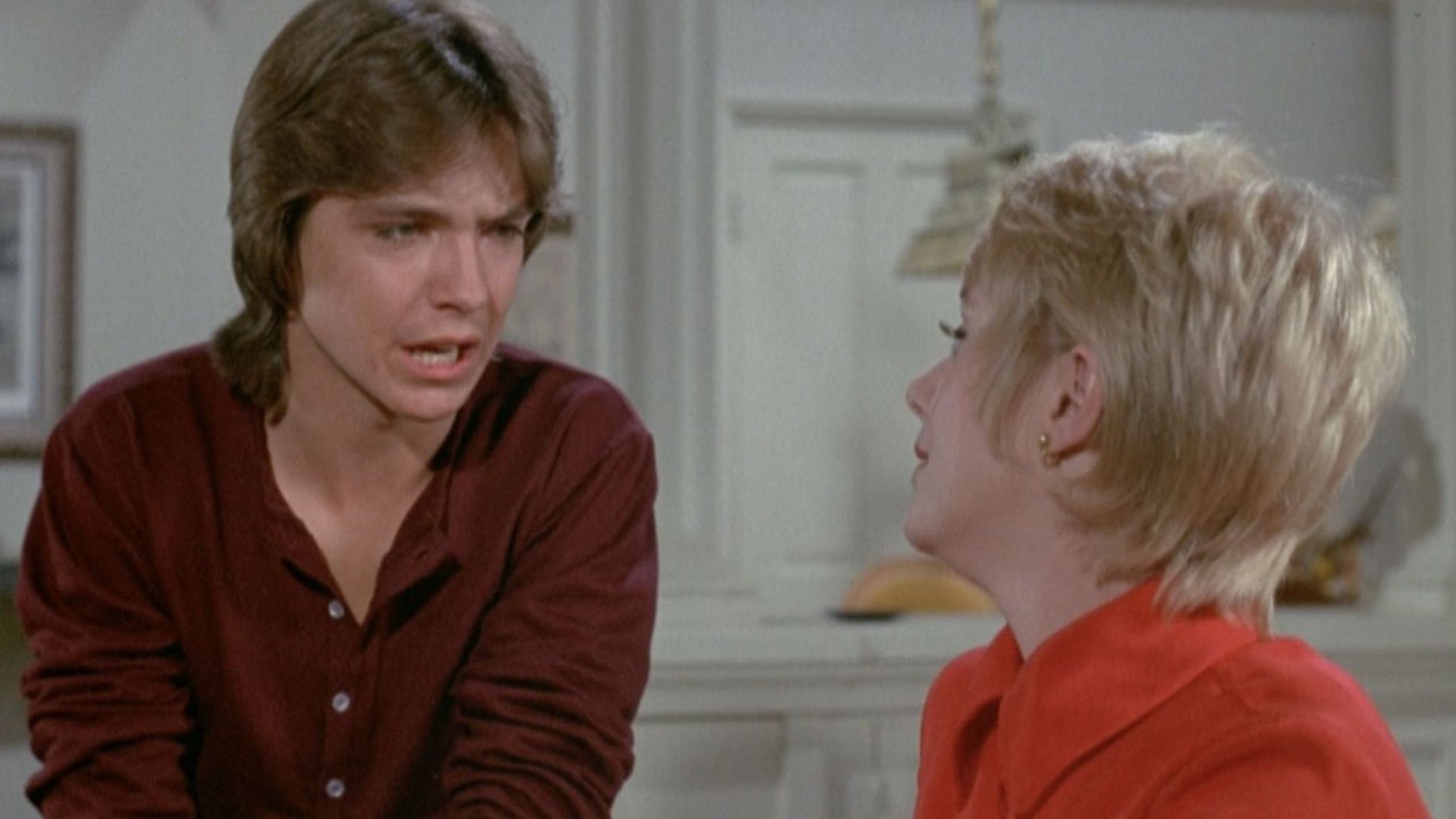 The Partridge Family background