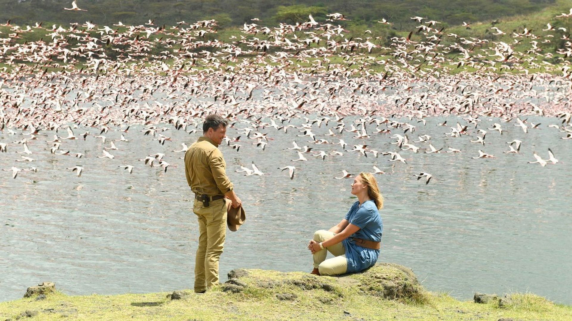 Das Traumschiff background