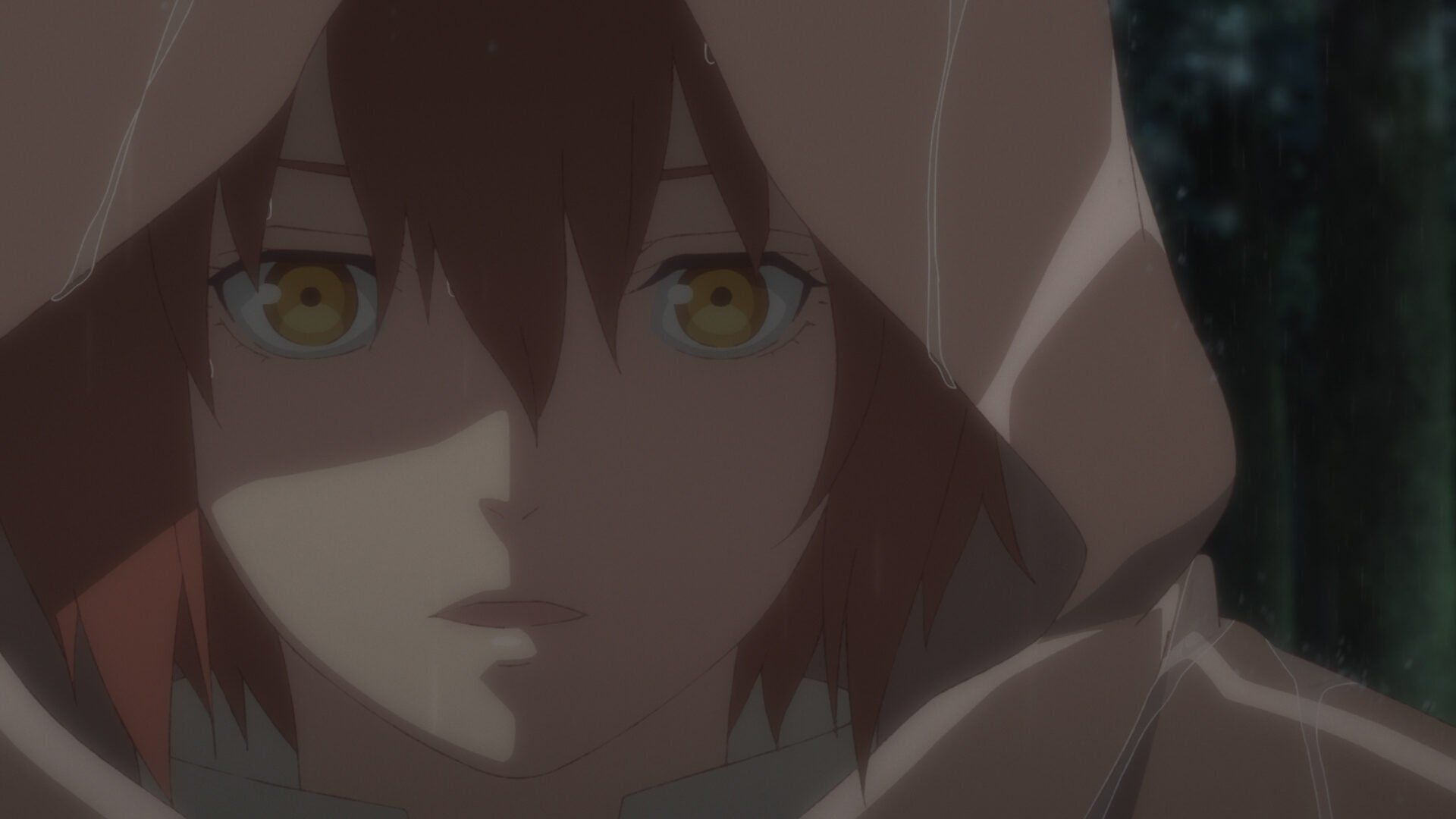 The Faraway Paladin background
