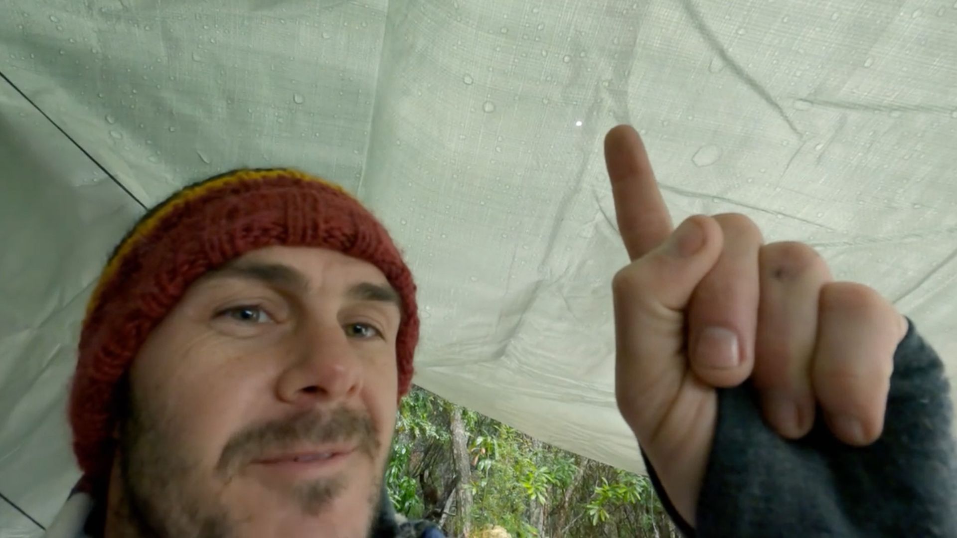 Alone Australia background