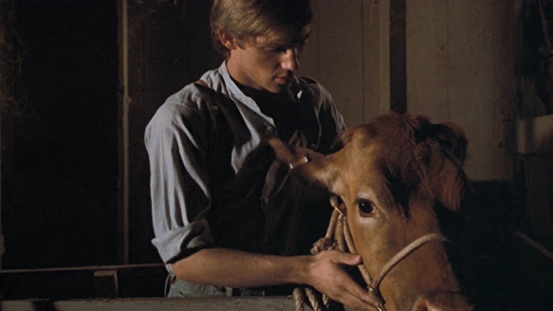 The Waltons background