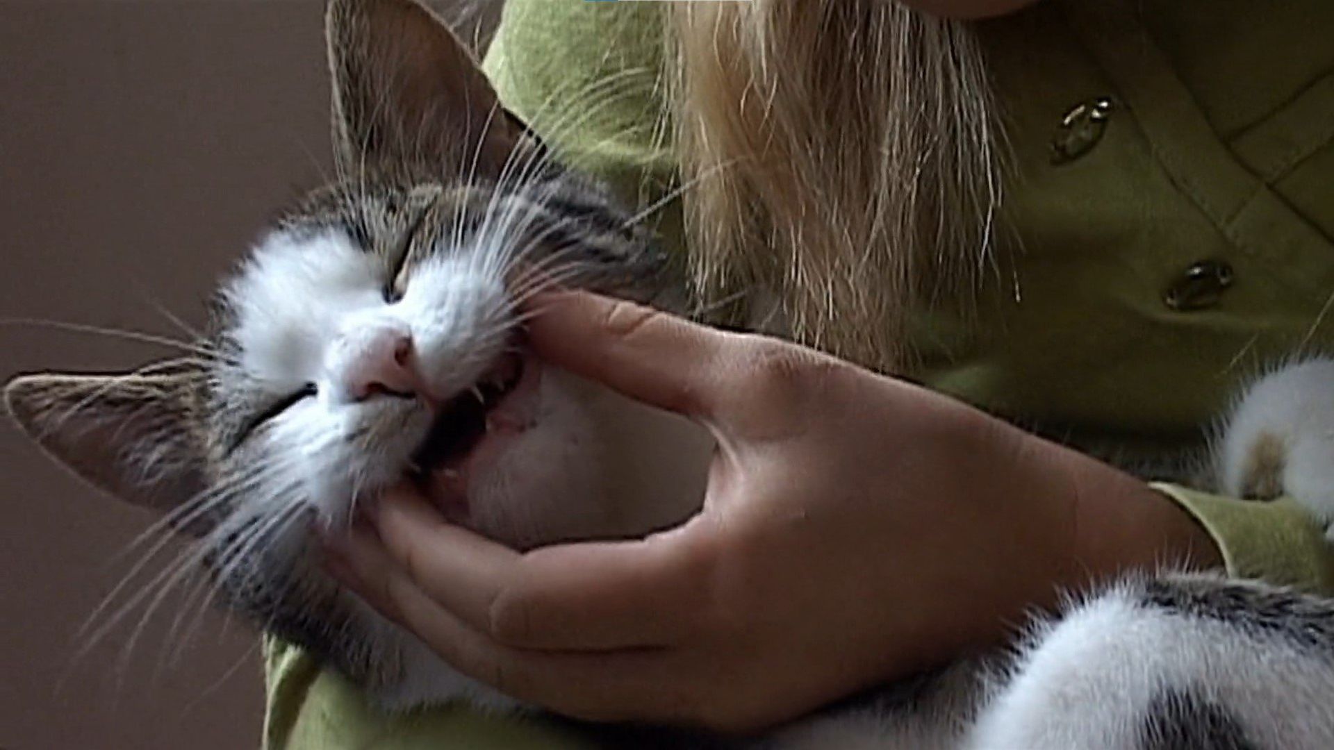 Die Sendung mit dem Elefanten background