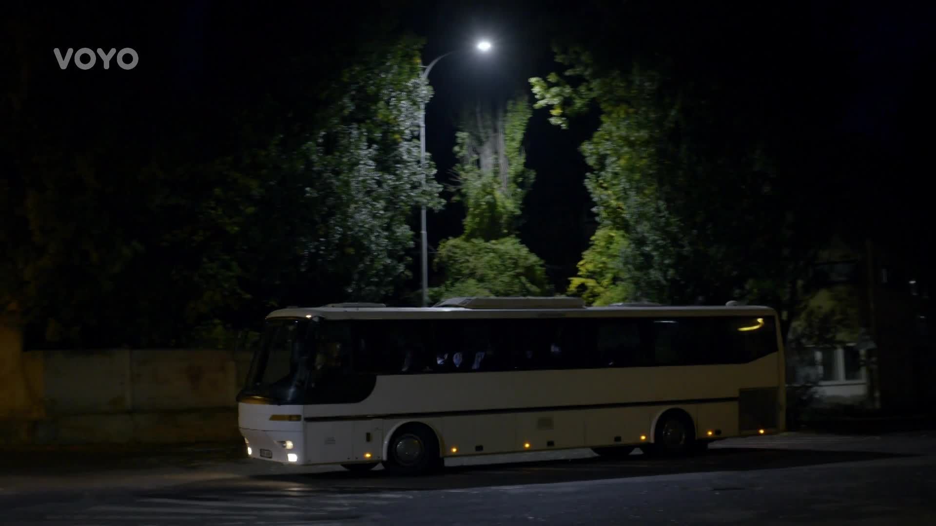 Specialisté background