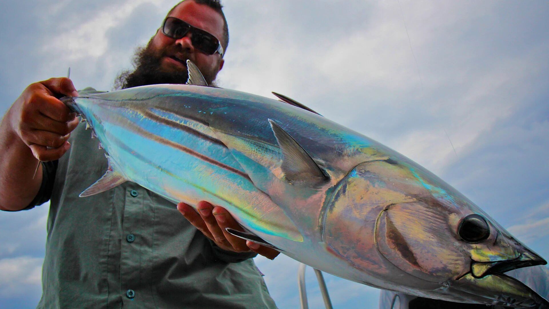 Fish or Die background