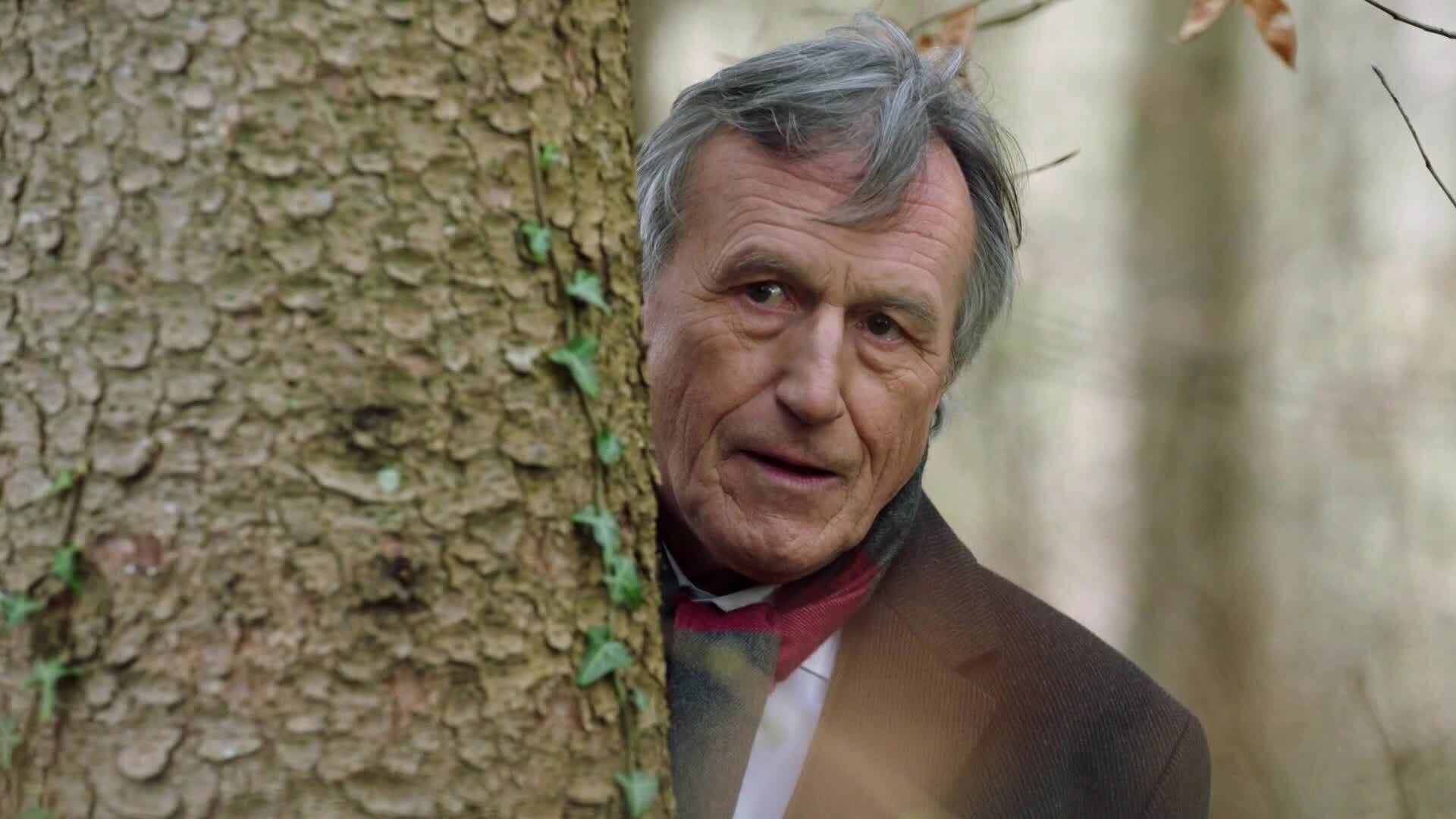 Storm of Love background