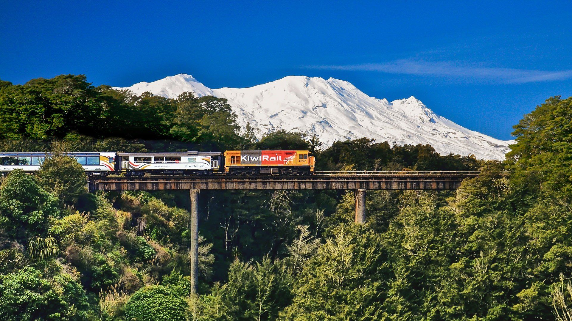 New Zealand by Train background