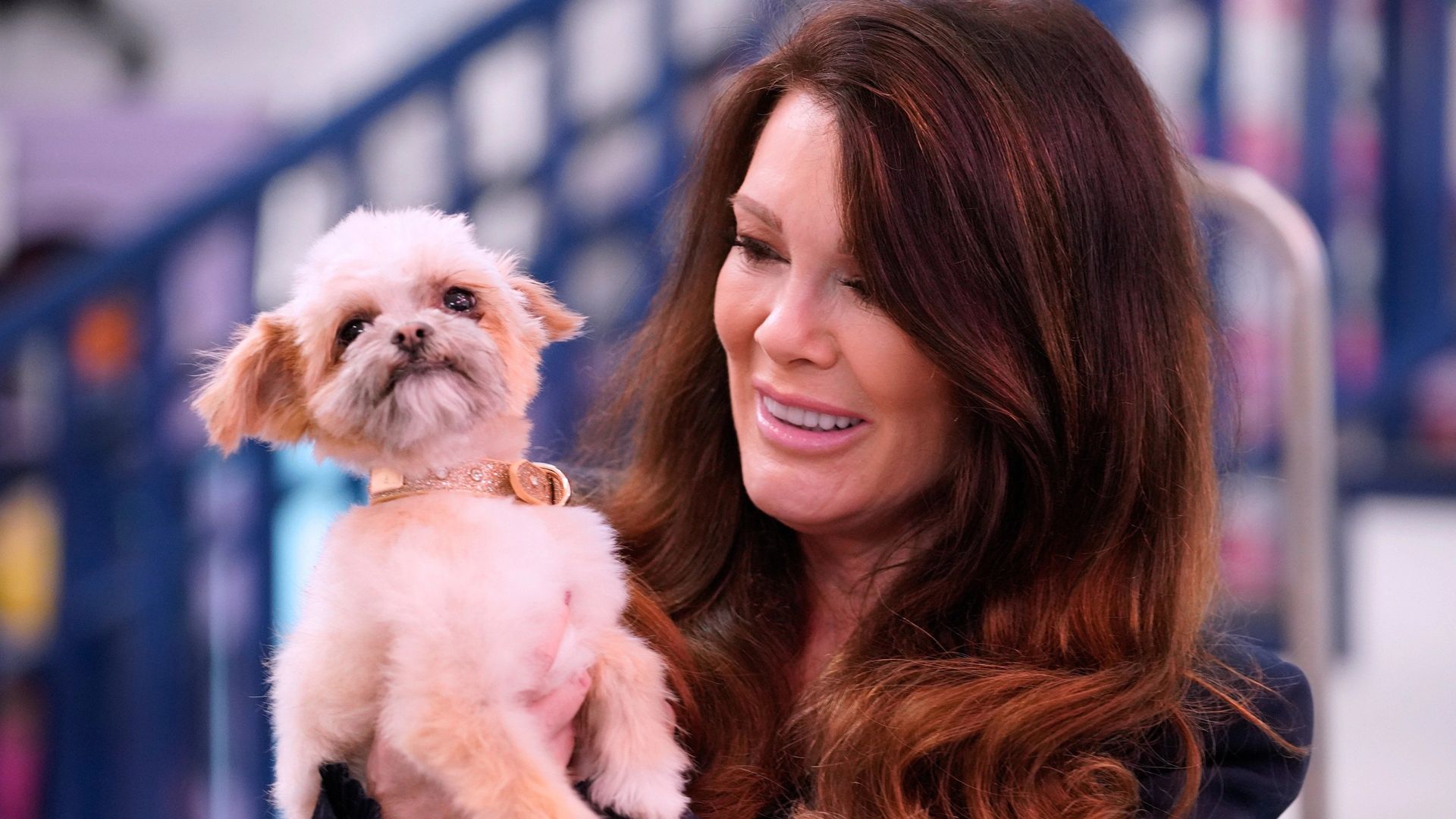 Vanderpump Dogs background