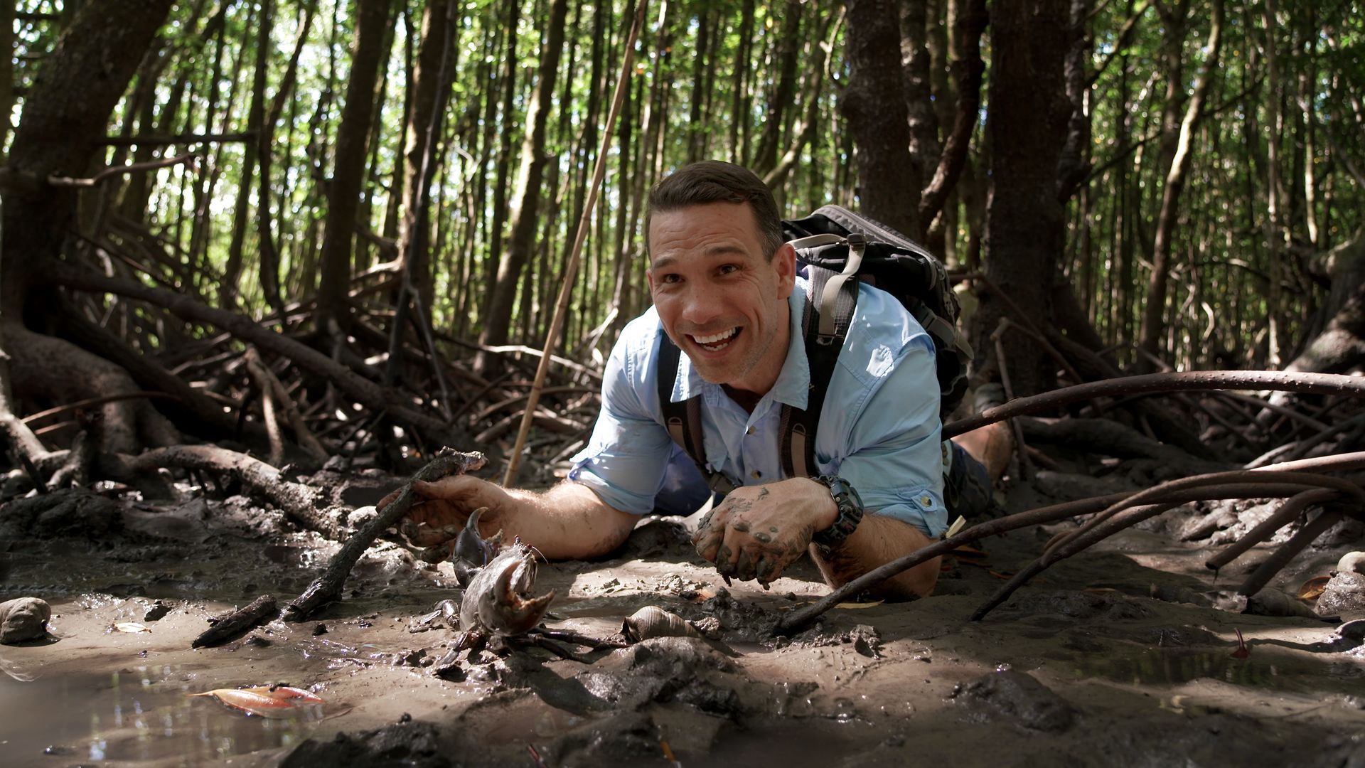 Built to Survive background