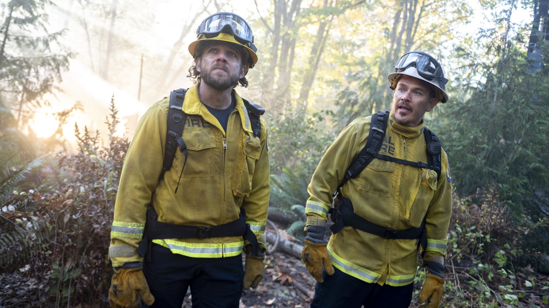 Fire Country background