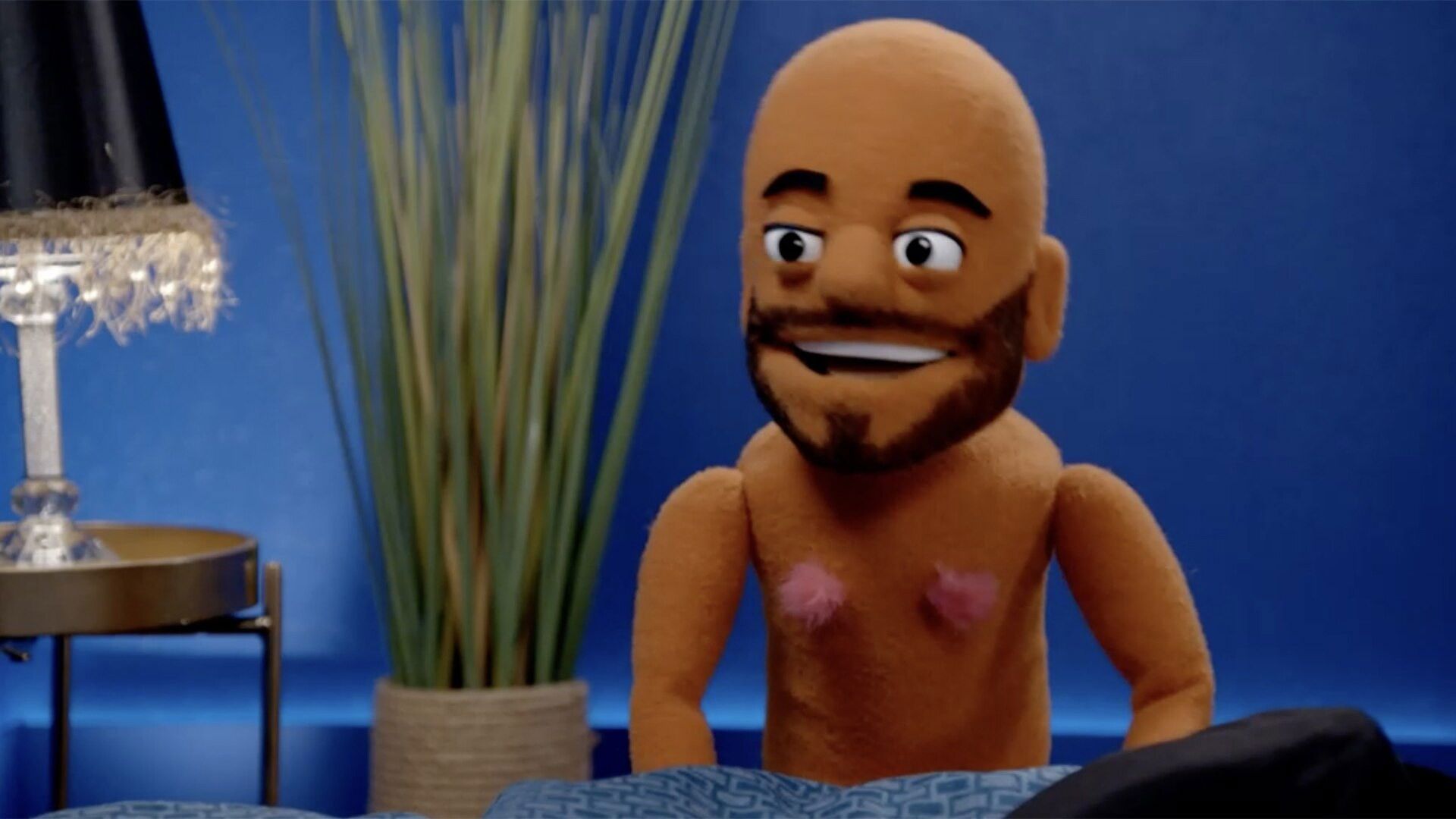 The Really Really Rude Puppet Show background