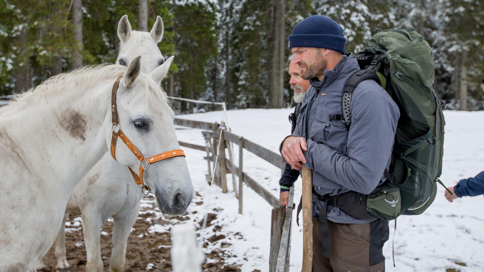 WWII's Great Escapes: The Freedom Trails background