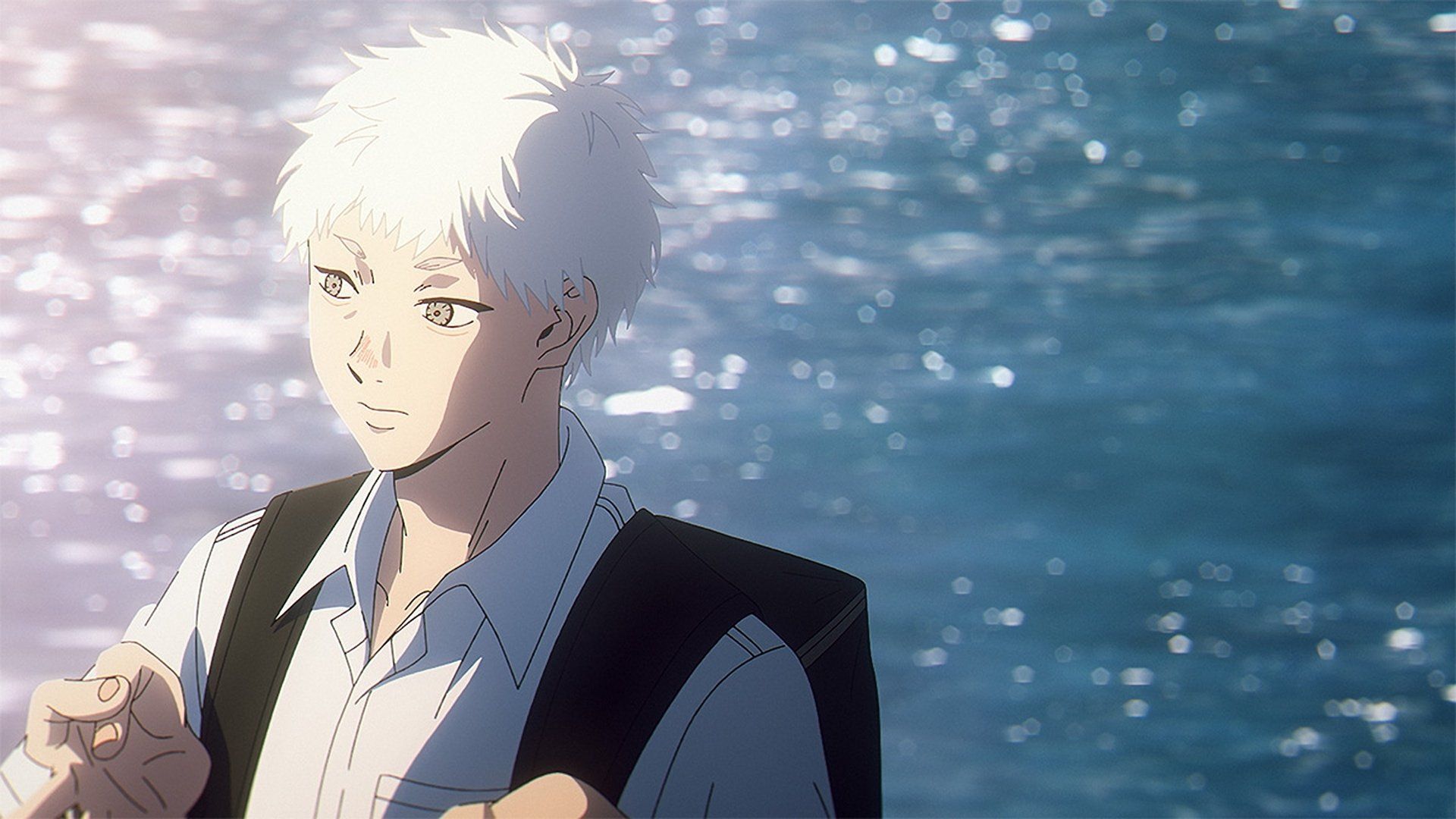 The Summer Hikaru Died background