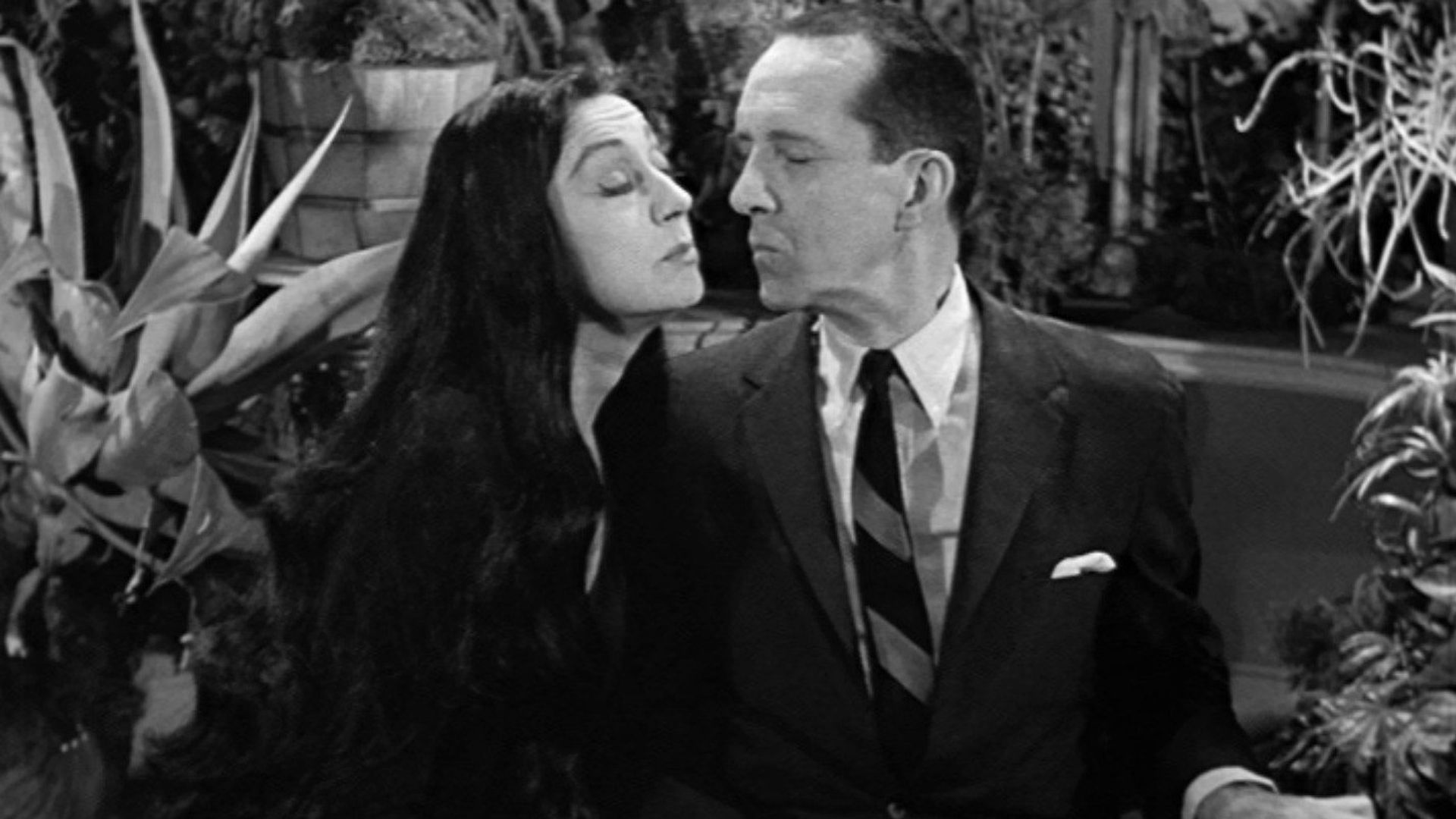 The Addams Family background