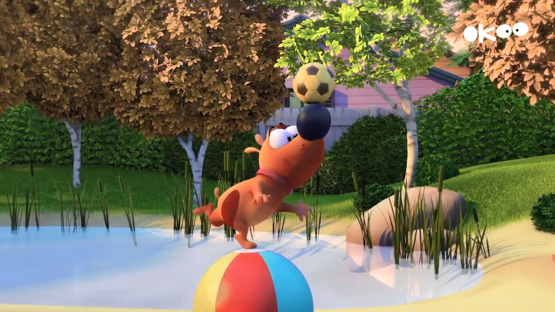 Pat the Dog background