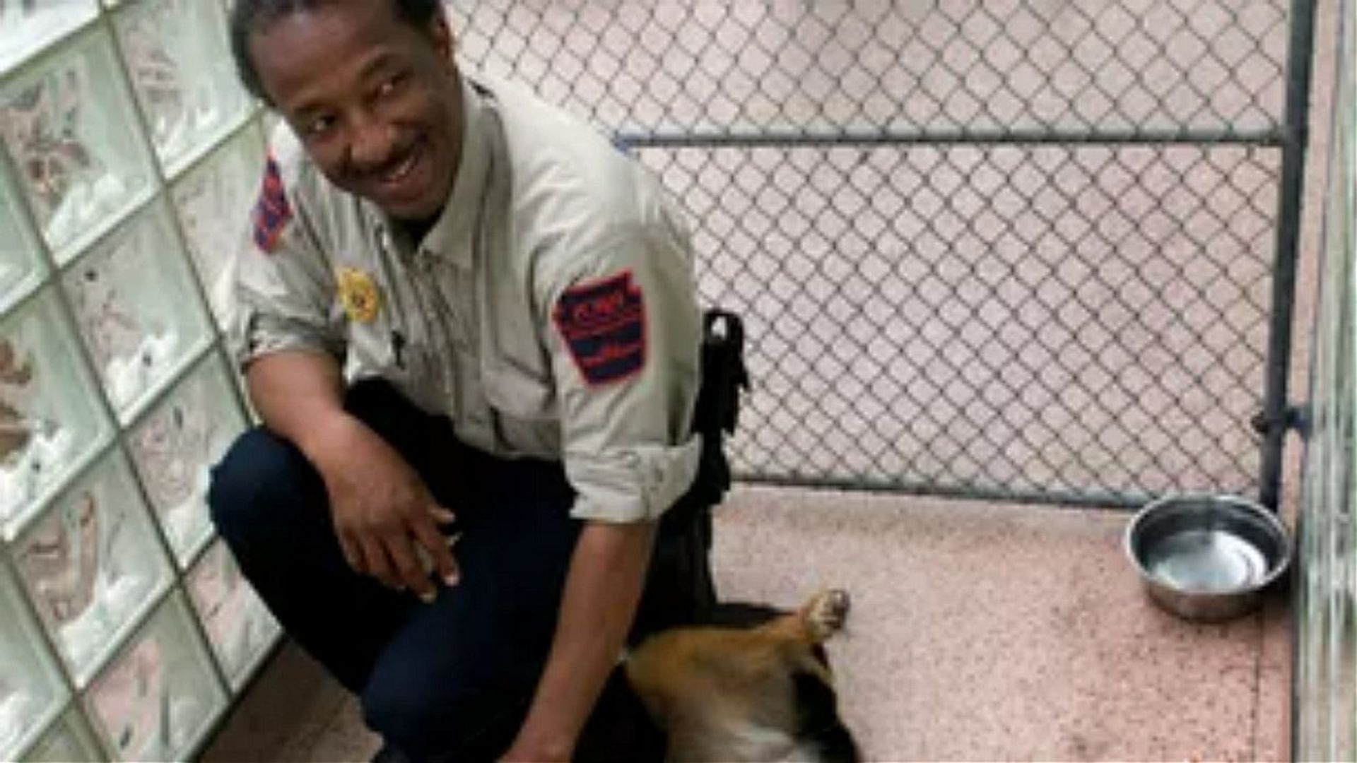 Animal Cops: Philadelphia background