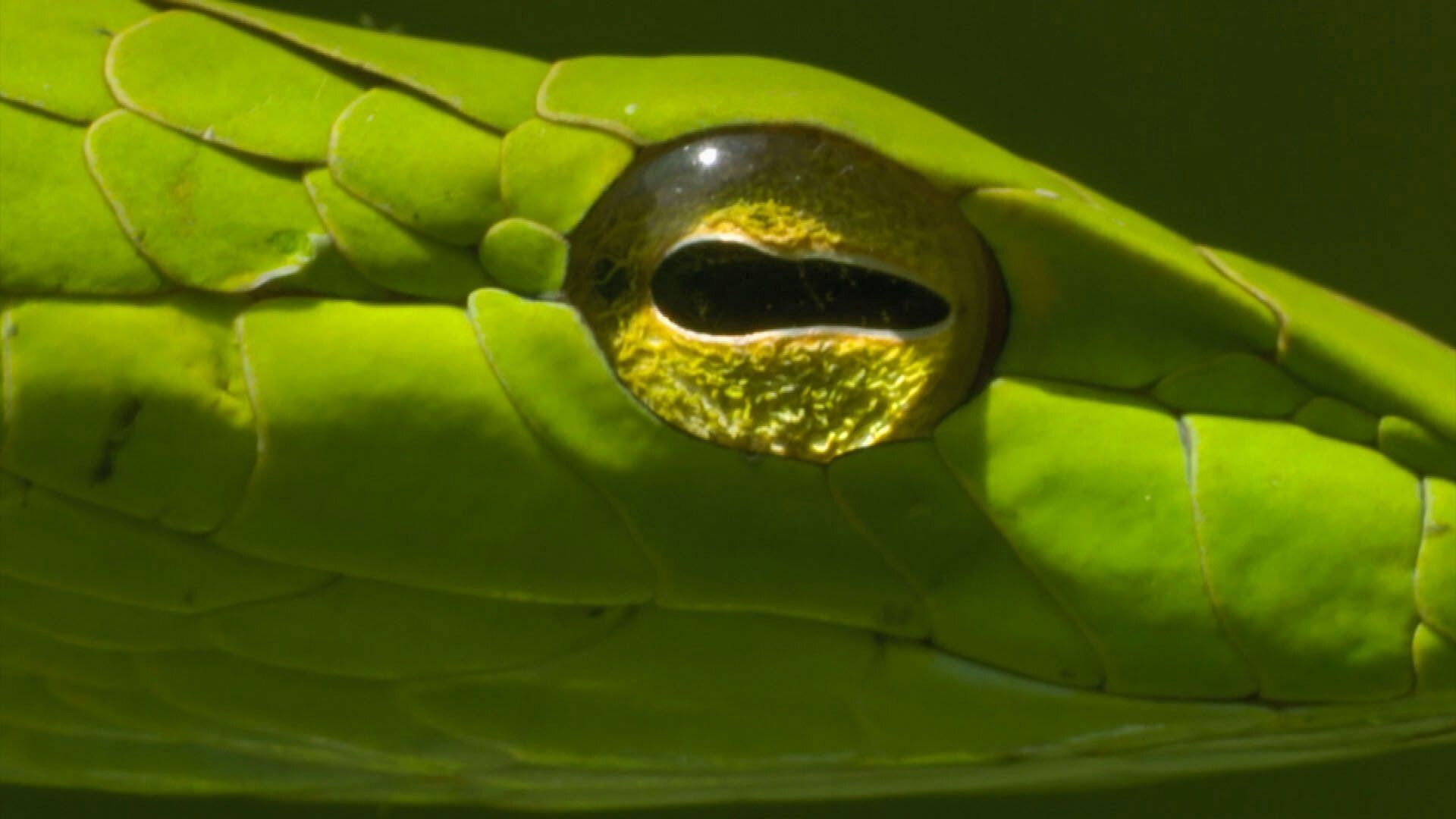 Our Wild Adventures background