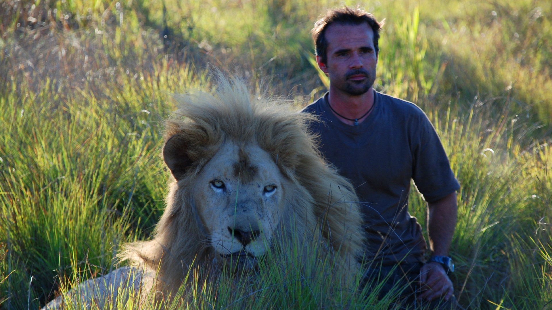 The Lion Ranger background