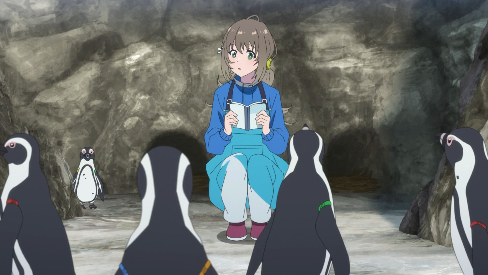 The Aquatope on White Sand background