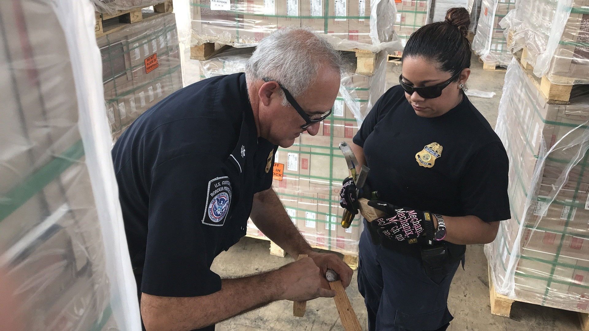 Borderforce USA: The Bridges background