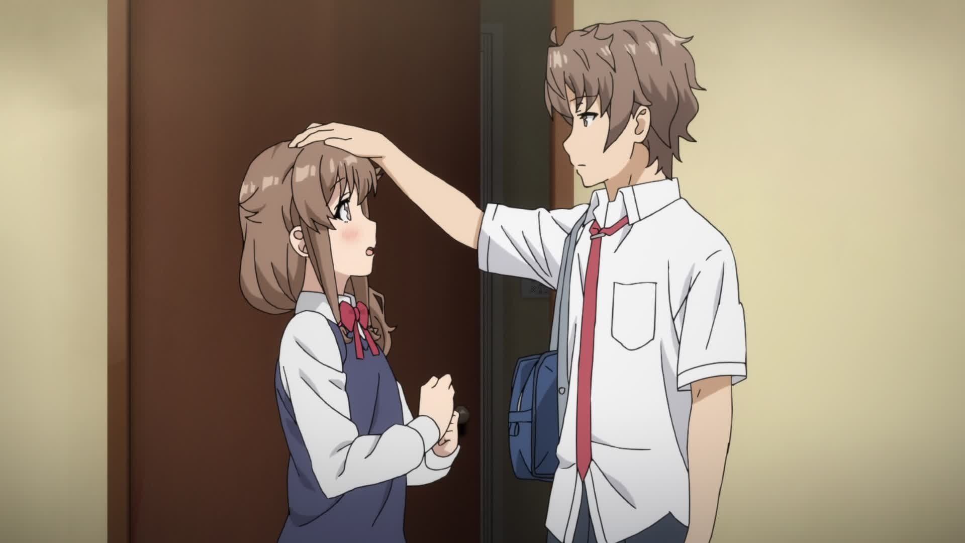 Rascal Does Not Dream of Bunny Girl Senpai background