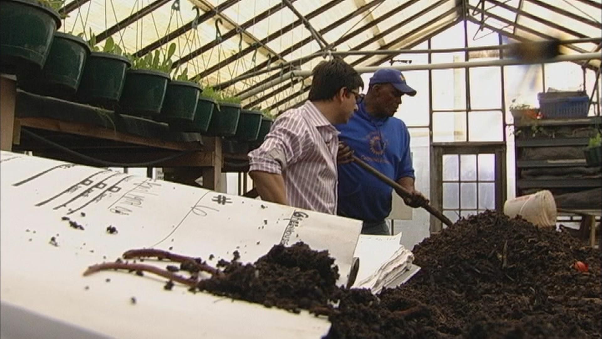 Wisconsin Foodie background