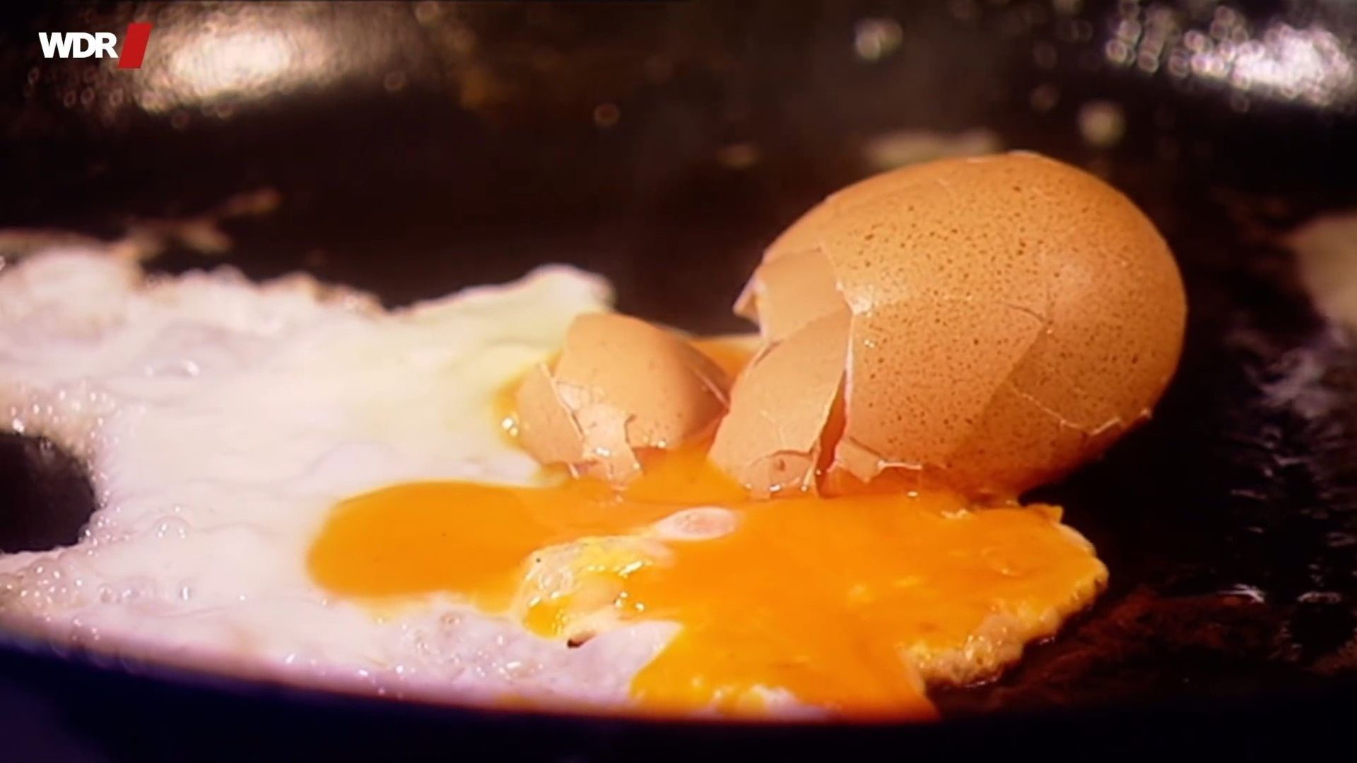 Die Sendung mit dem Elefanten background