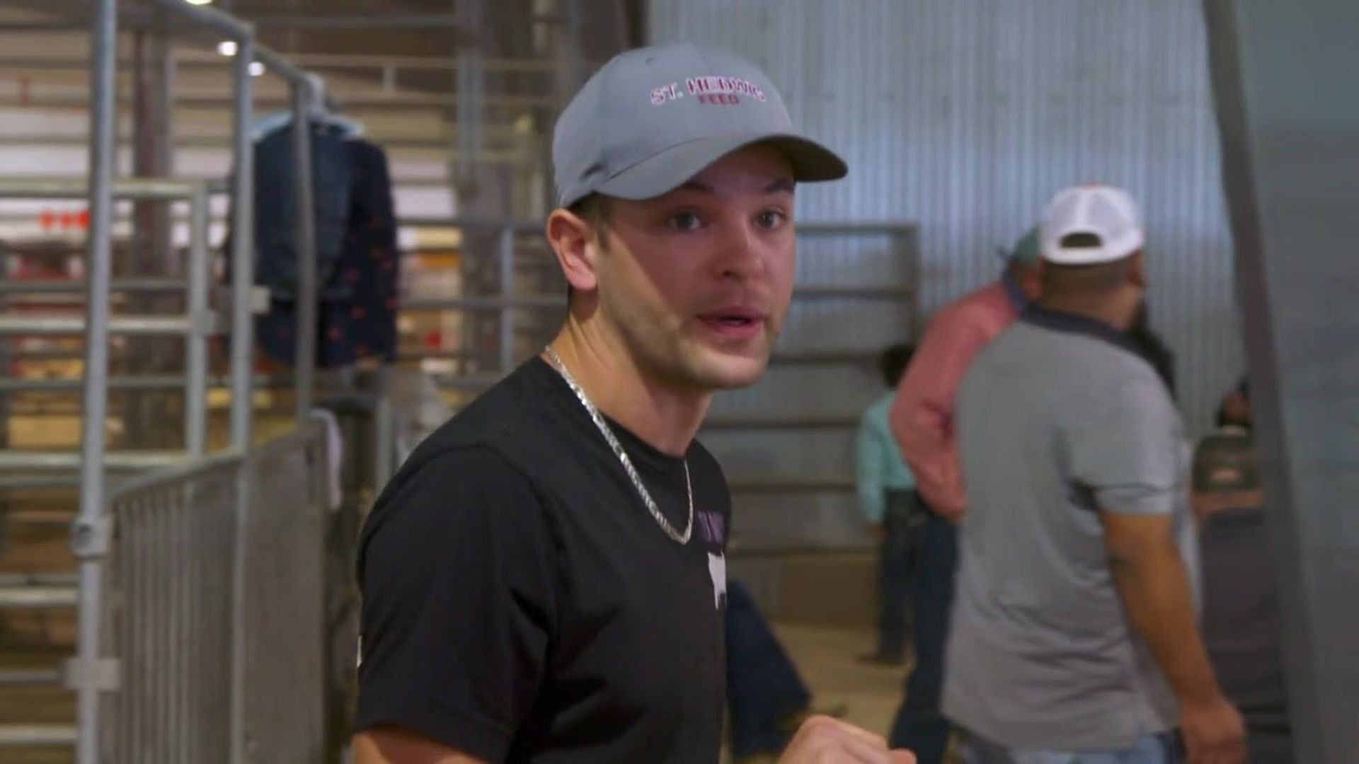 Pig Royalty background