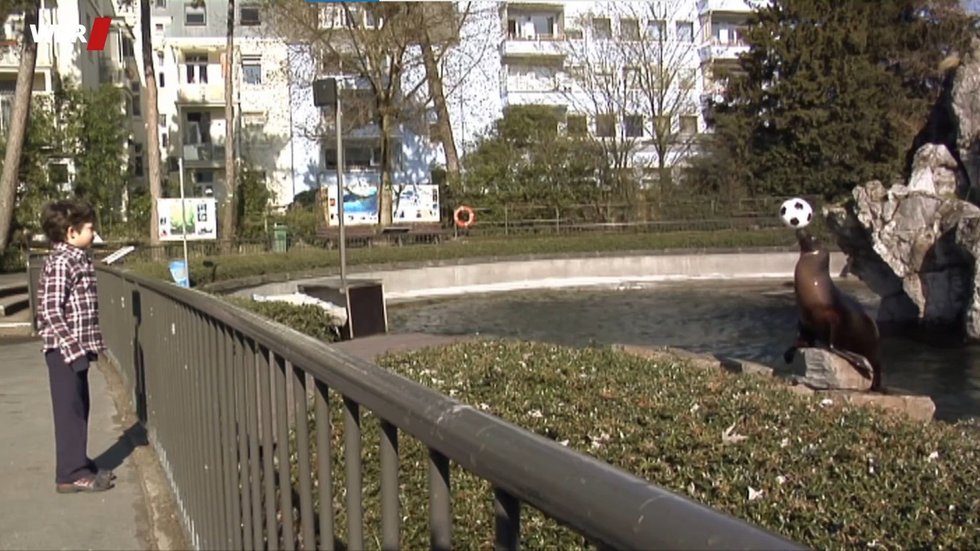 Die Sendung mit dem Elefanten background