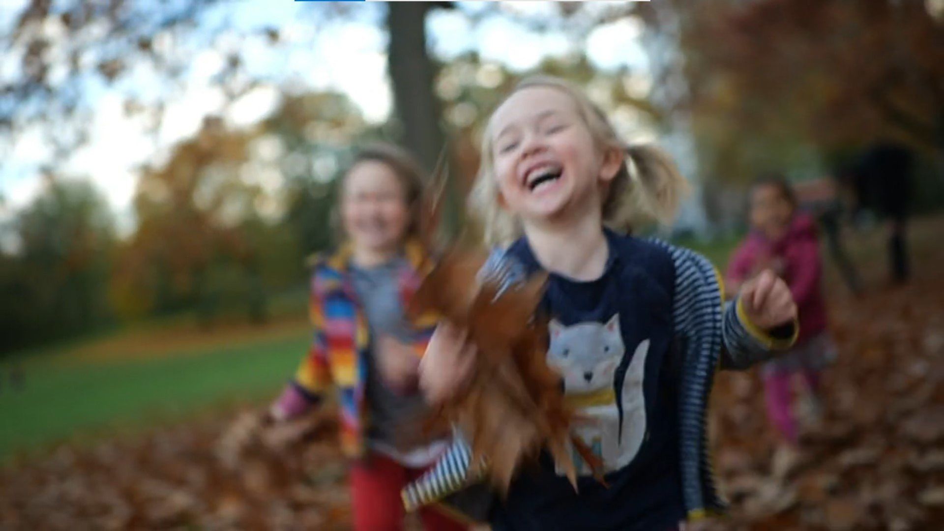 Die Sendung mit dem Elefanten background