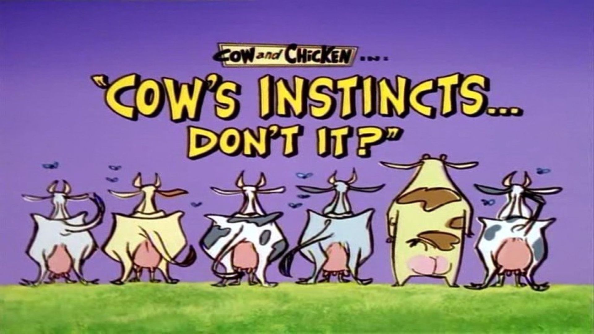 Cow and Chicken background
