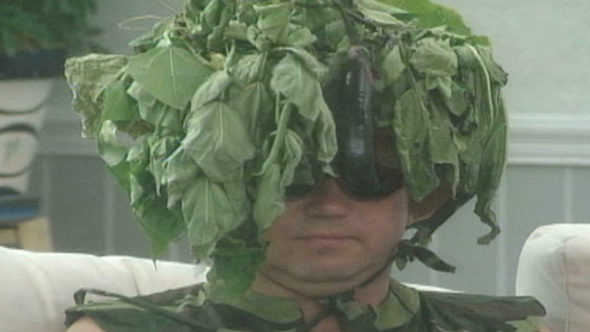 Big Brother background