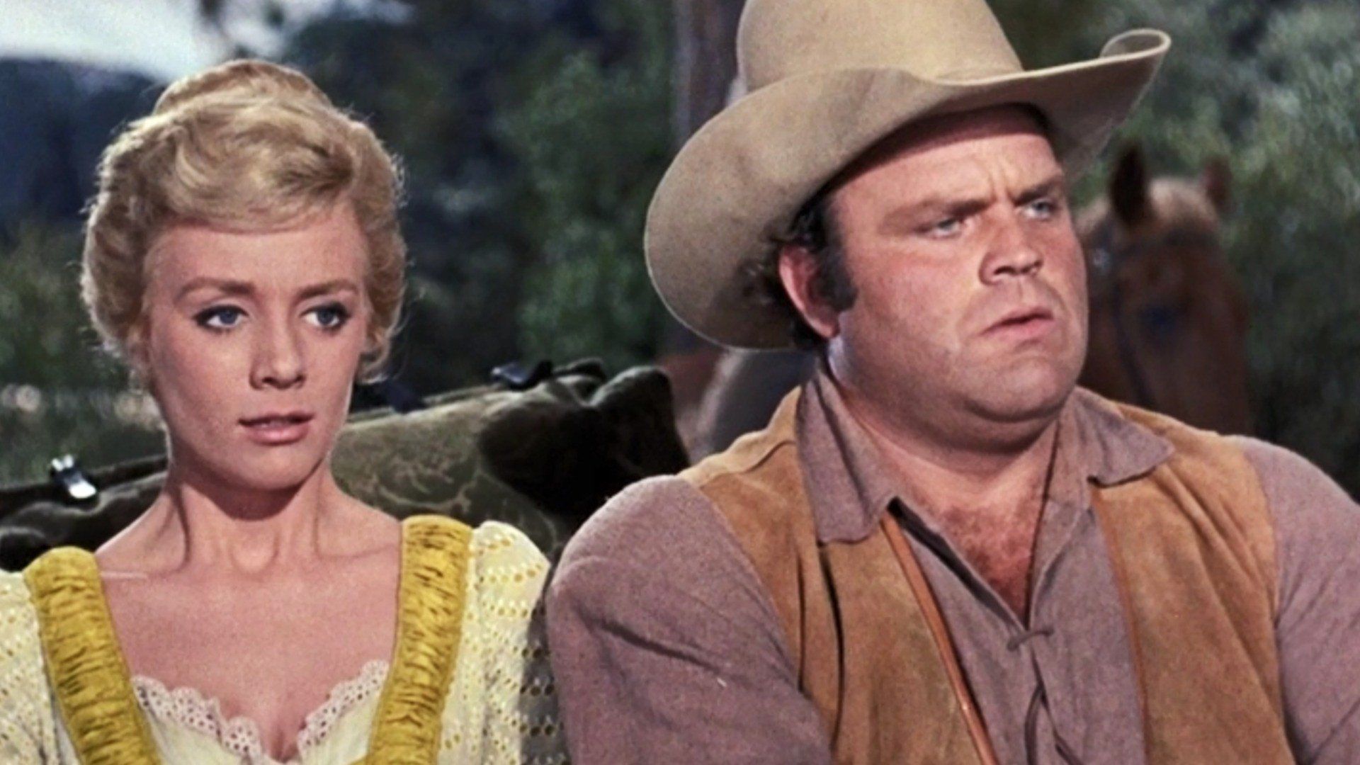Bonanza background