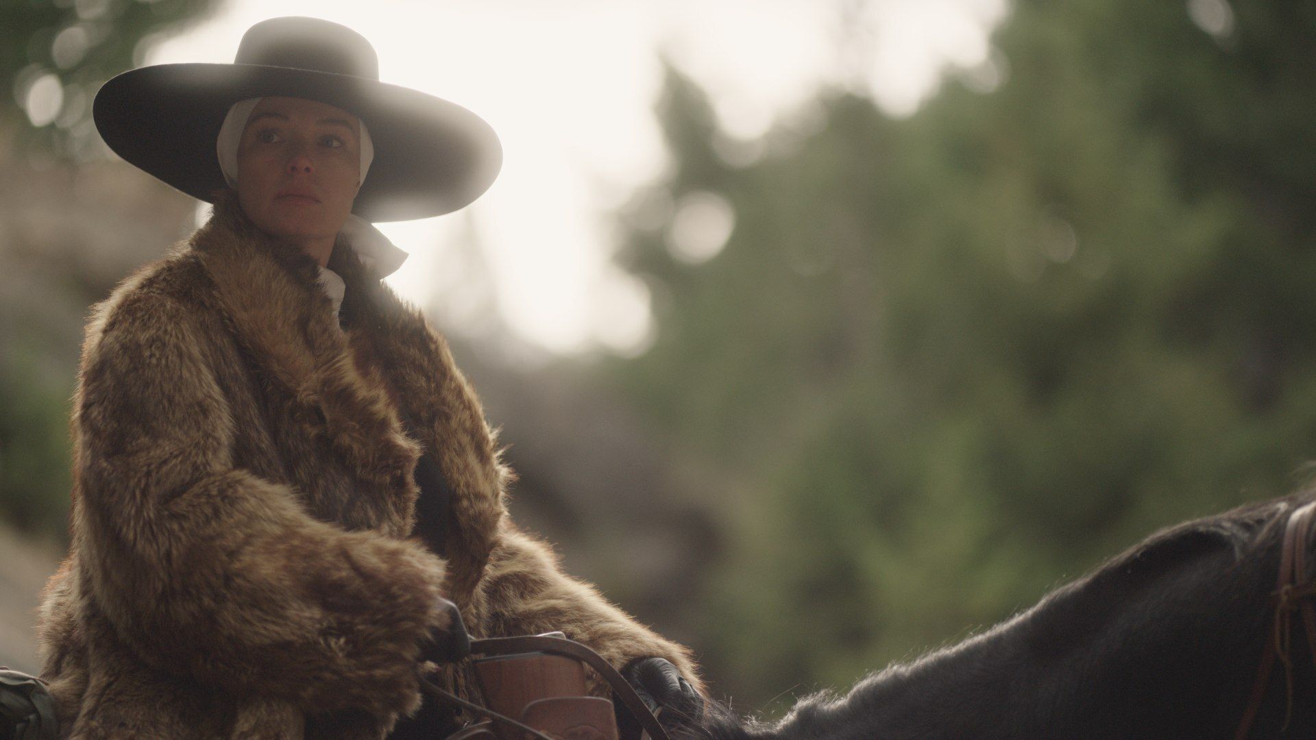 Bring on the Dancing Horses background