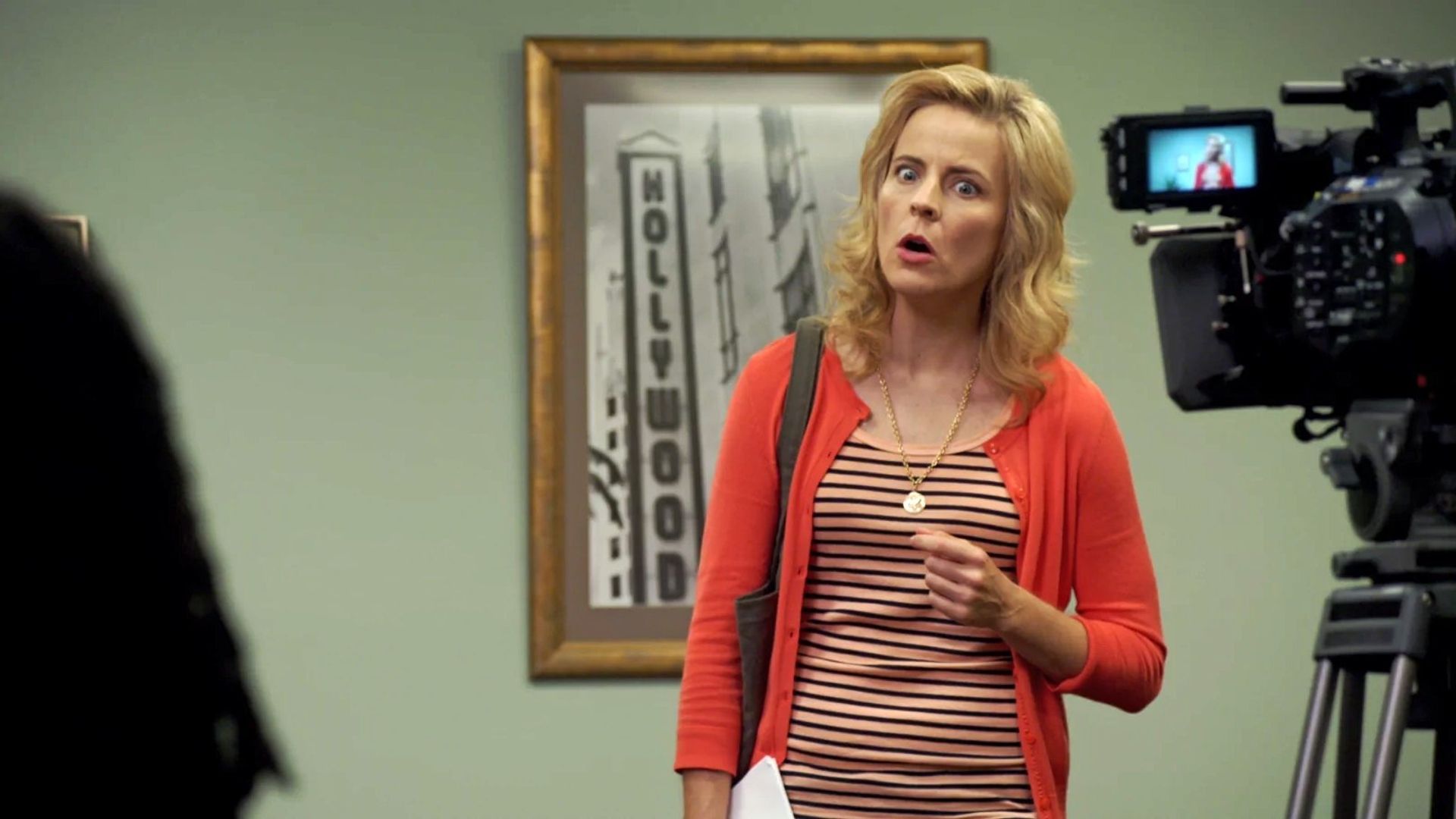 Lady Dynamite background