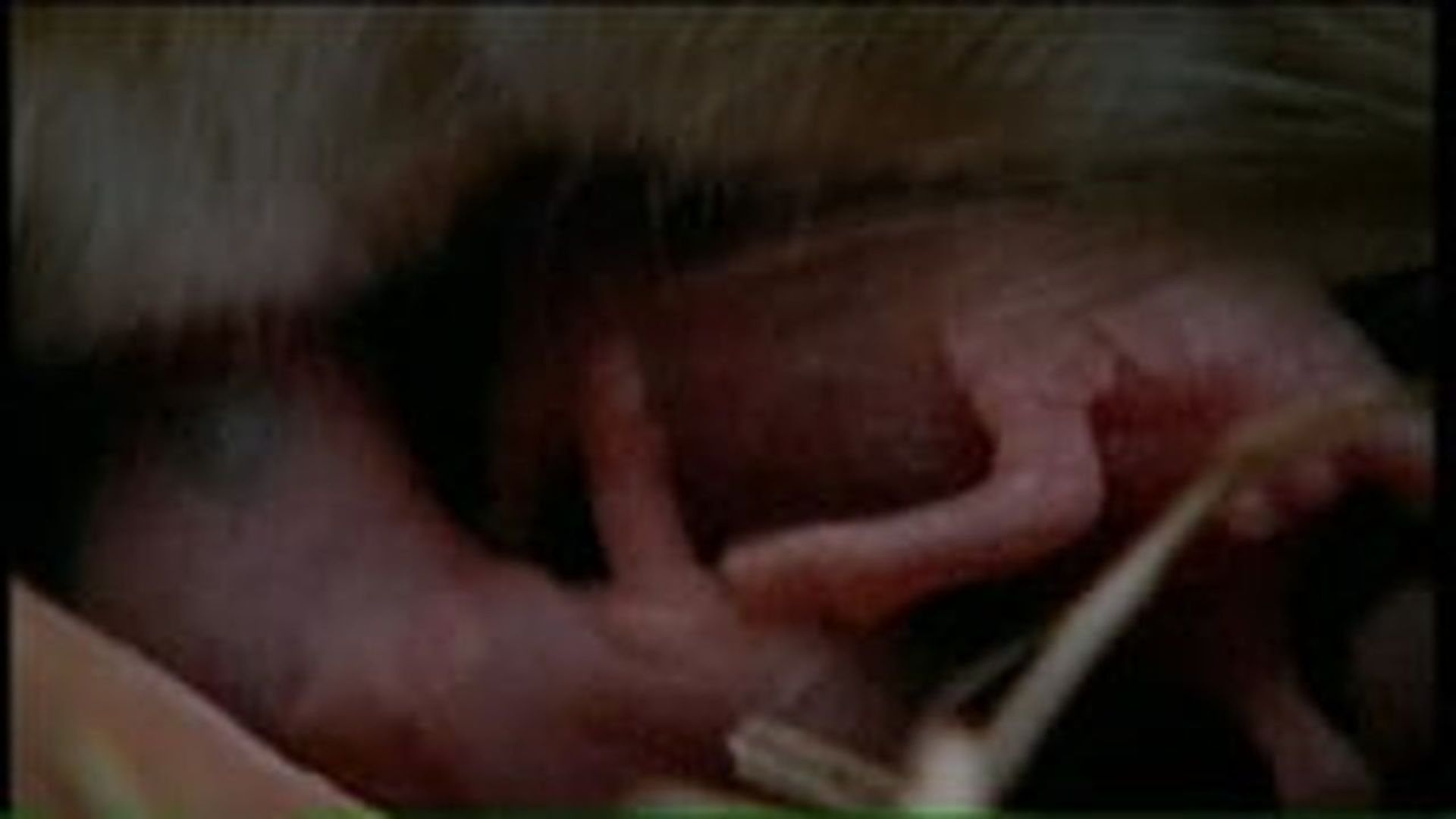 Nature of Australia background