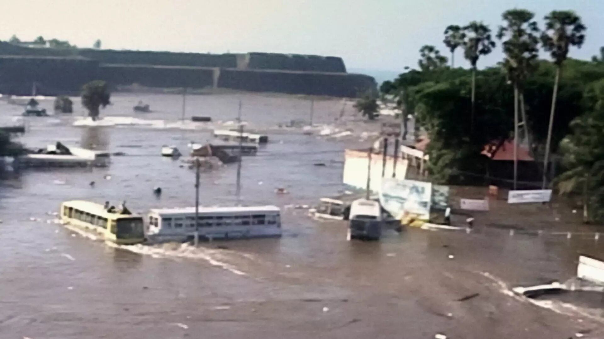 Tsunami: Race Against Time background