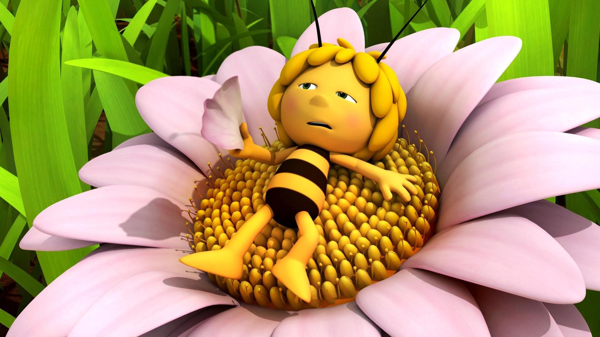 Maya the Bee background