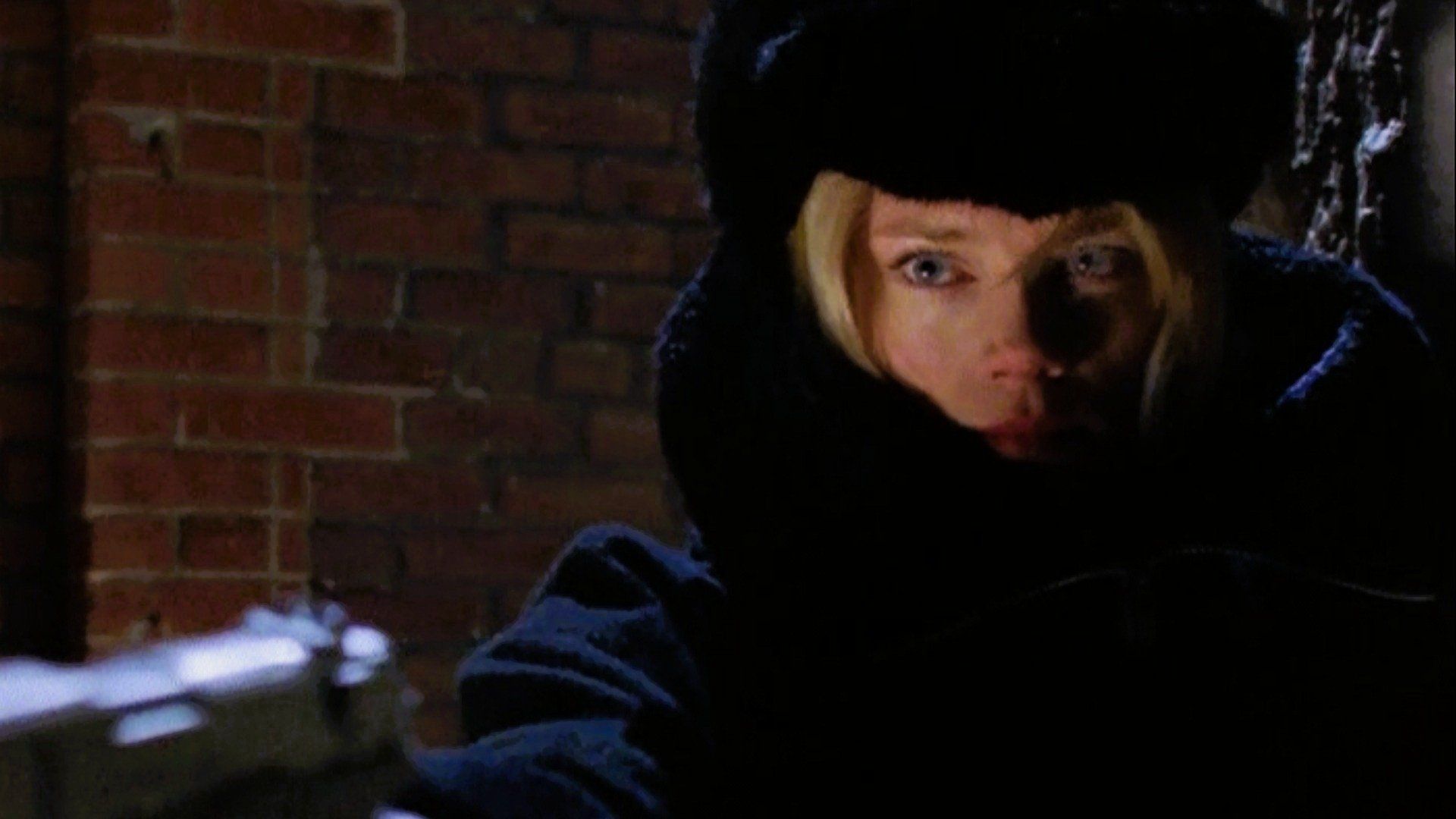 La Femme Nikita background