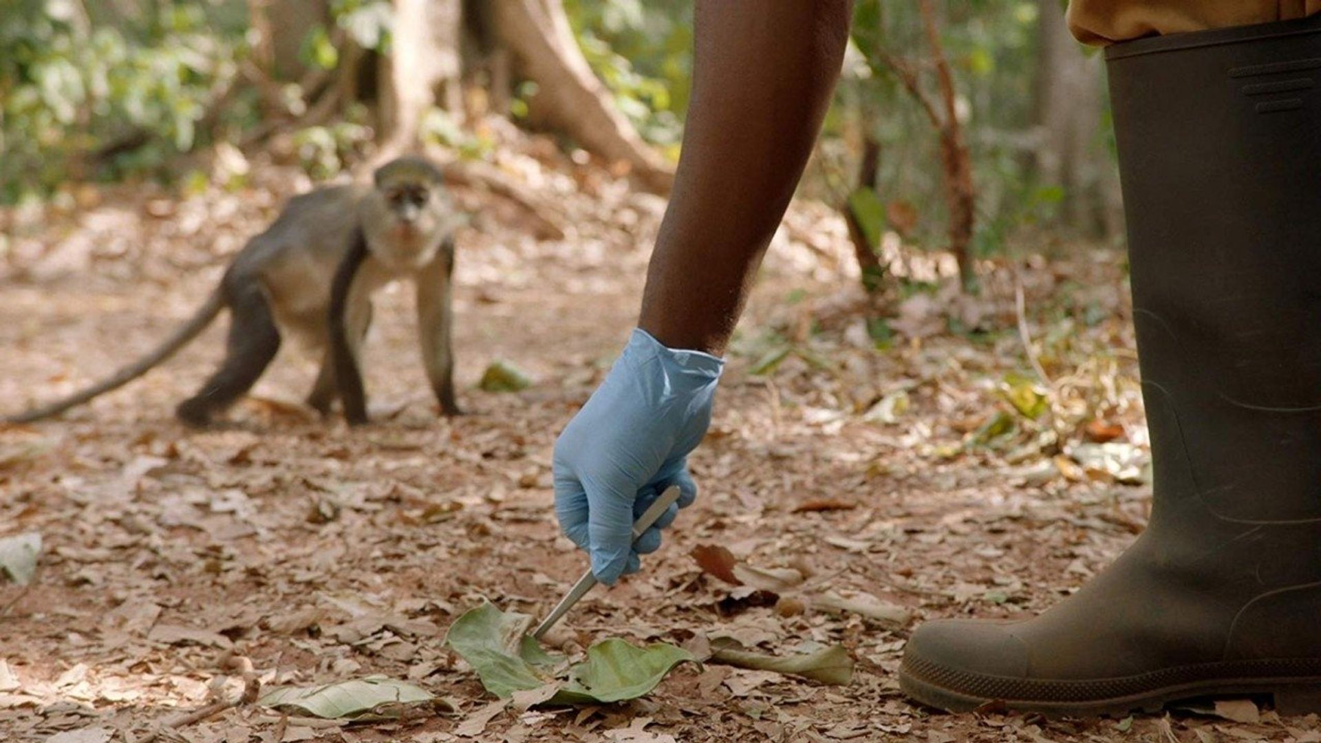 Invisible Killers background