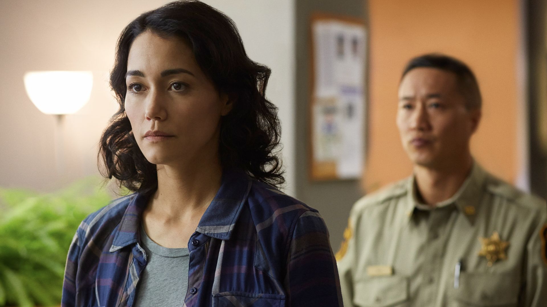 The Returned background