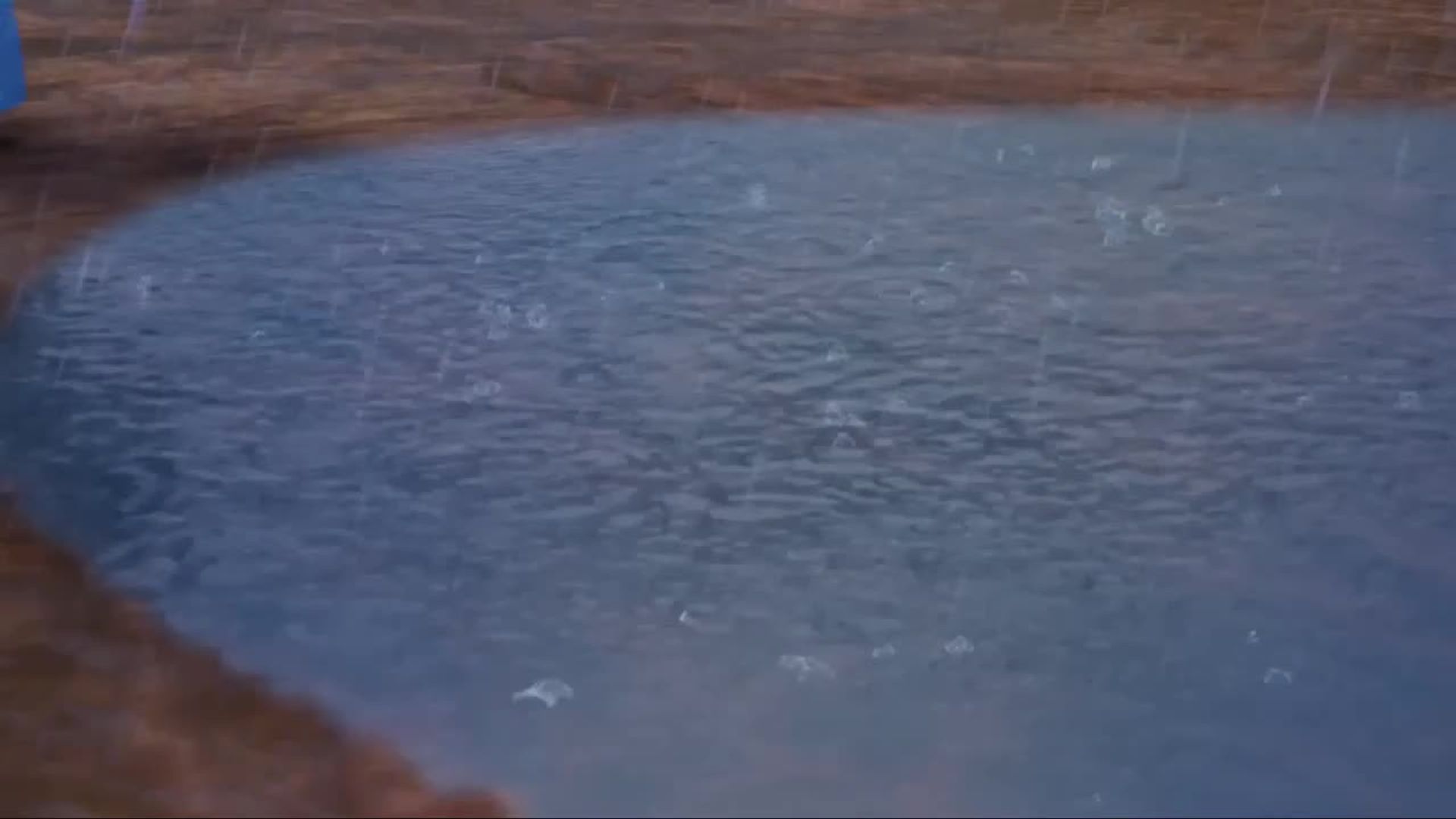 Puppy Dog Pals background