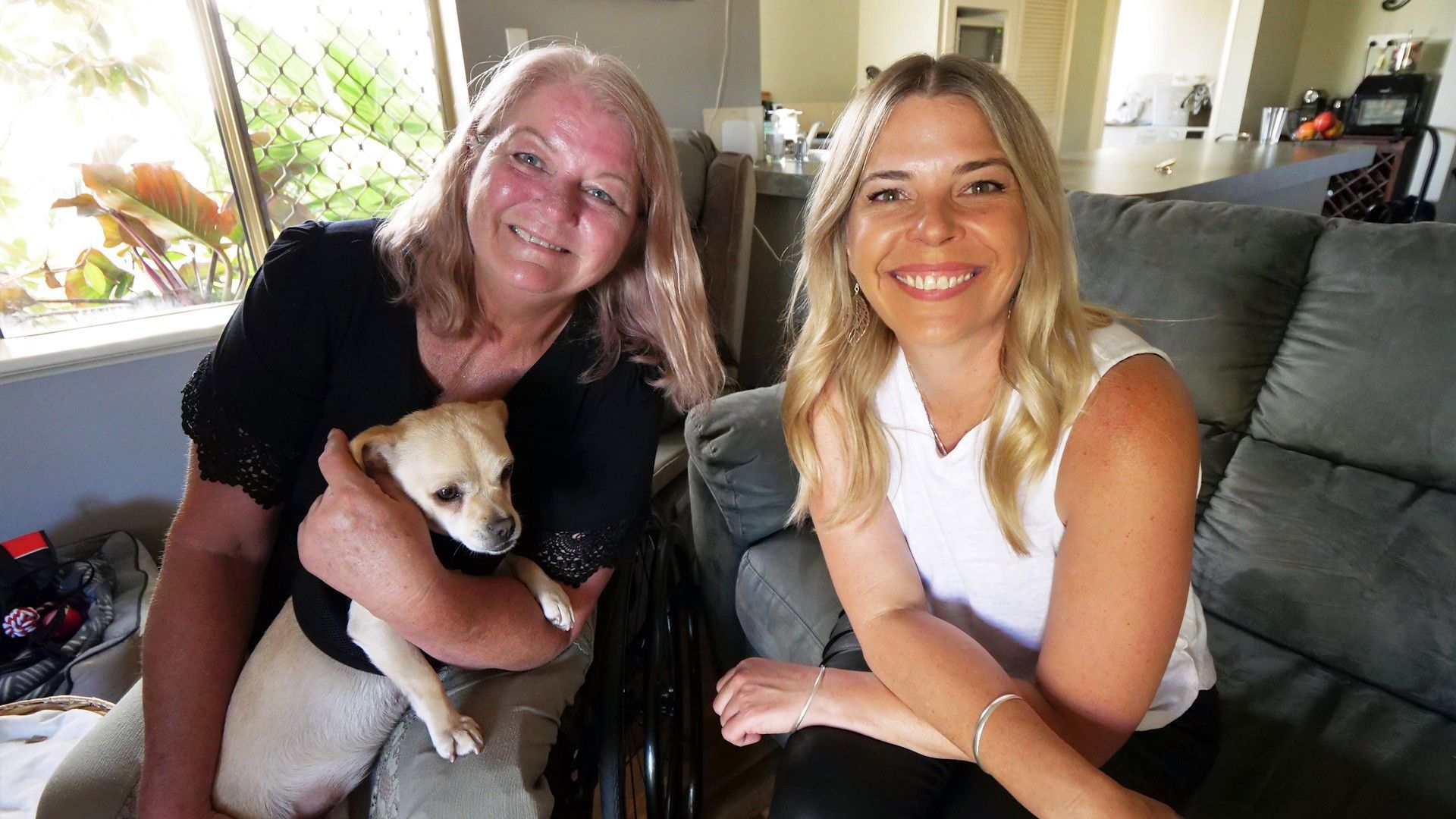 New Leash on Life background