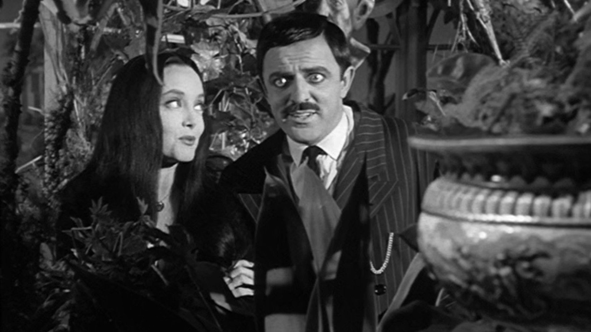 The Addams Family background