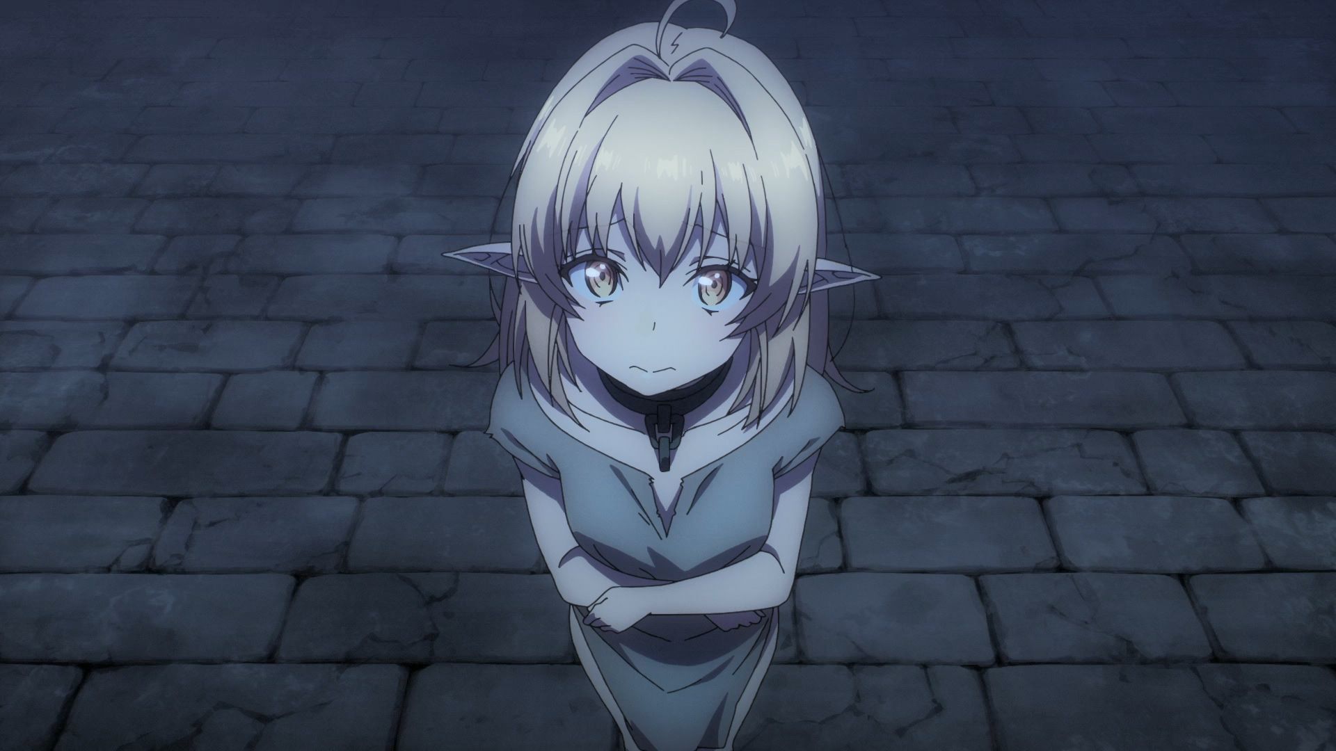 The Brilliant Healer's New Life in the Shadows background